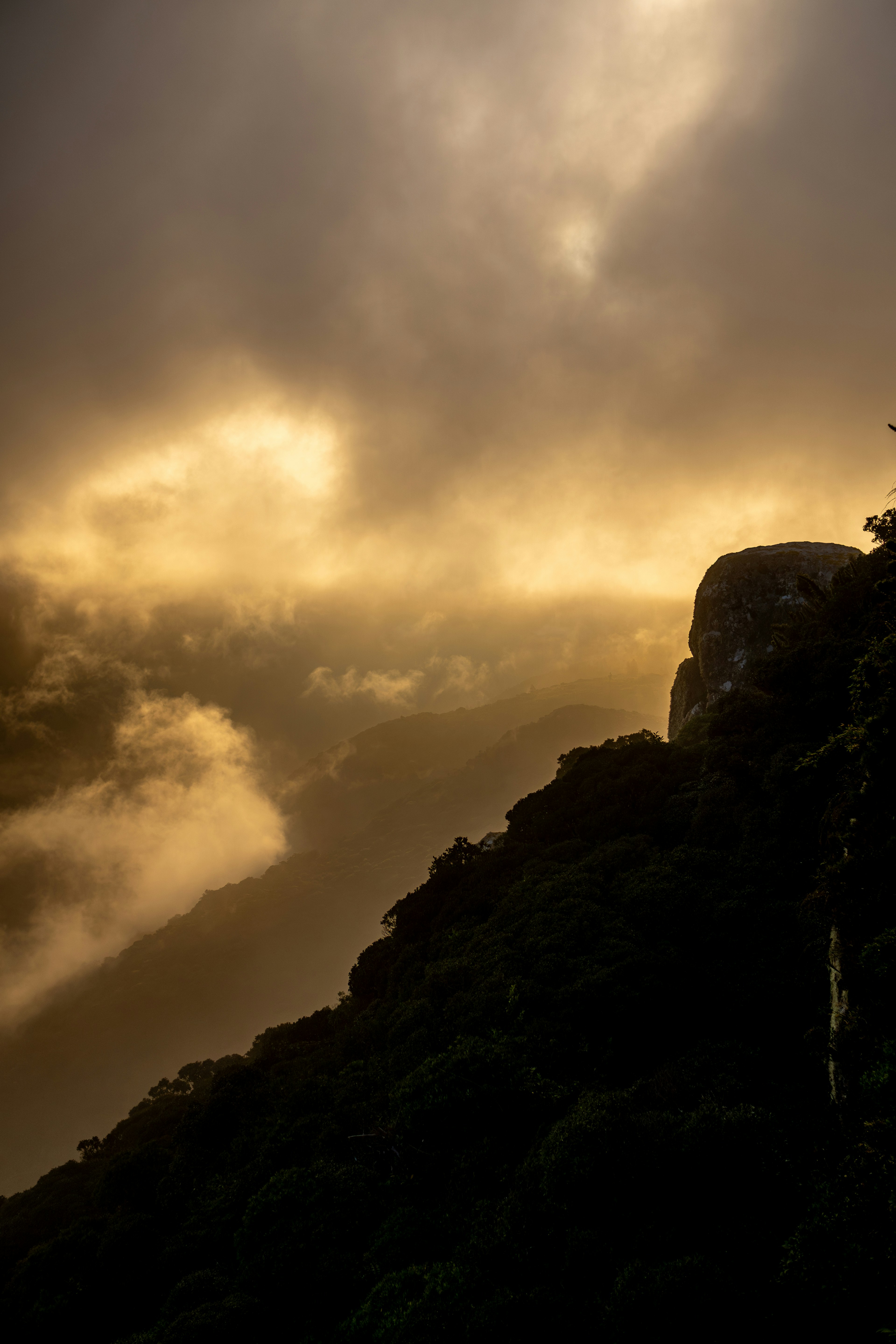 Photo by andreicastanha