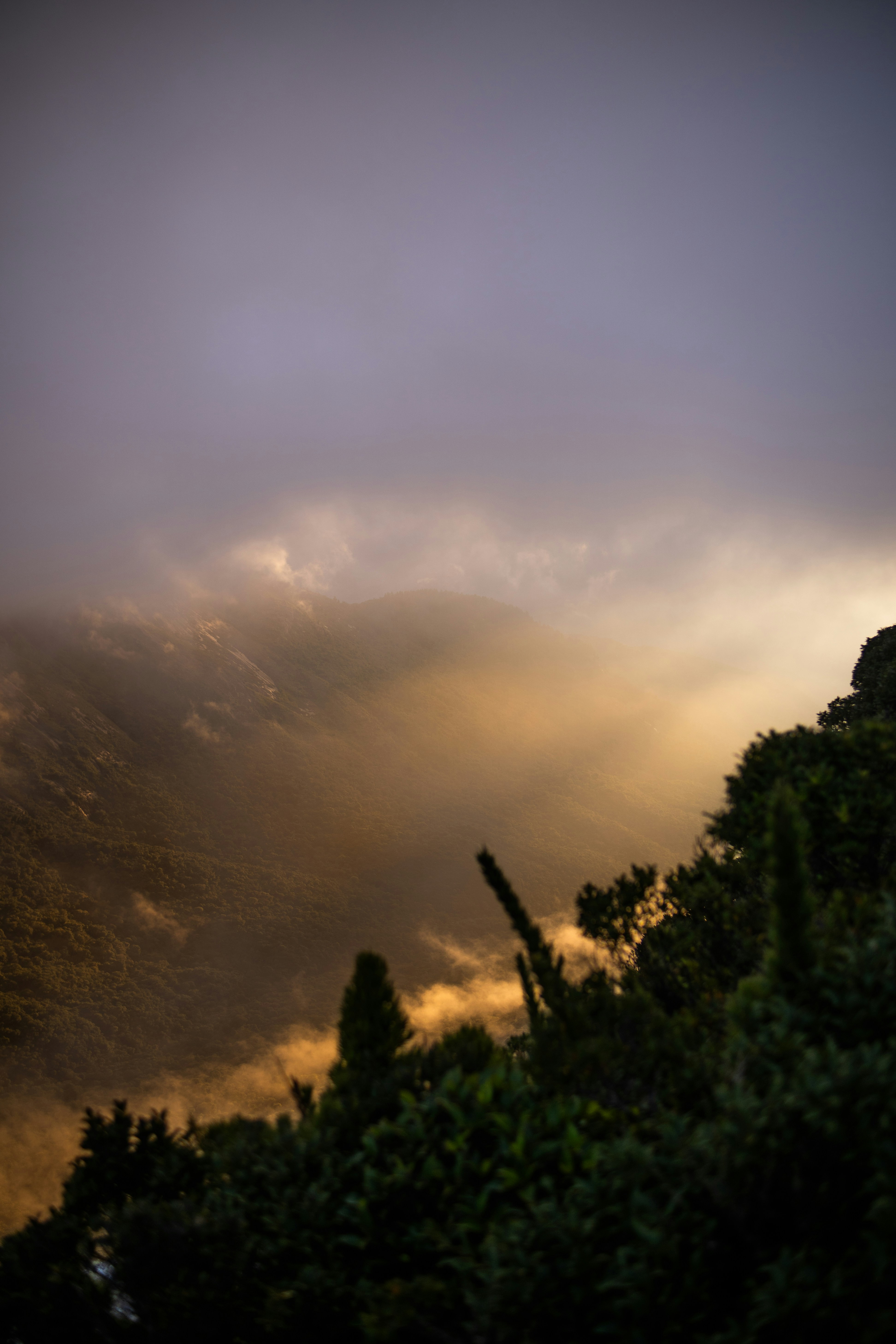 Photo by andreicastanha