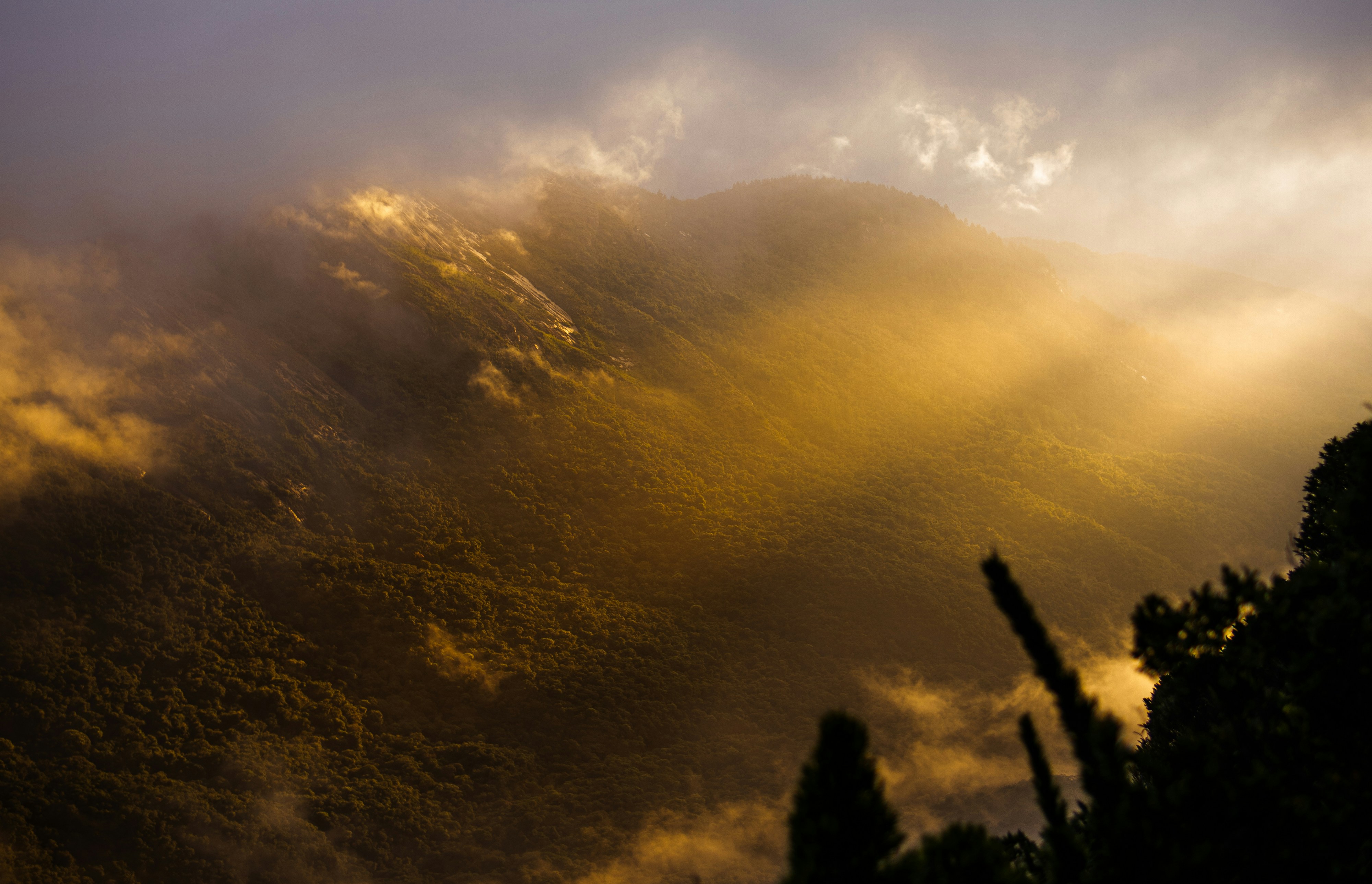 Photo by andreicastanha