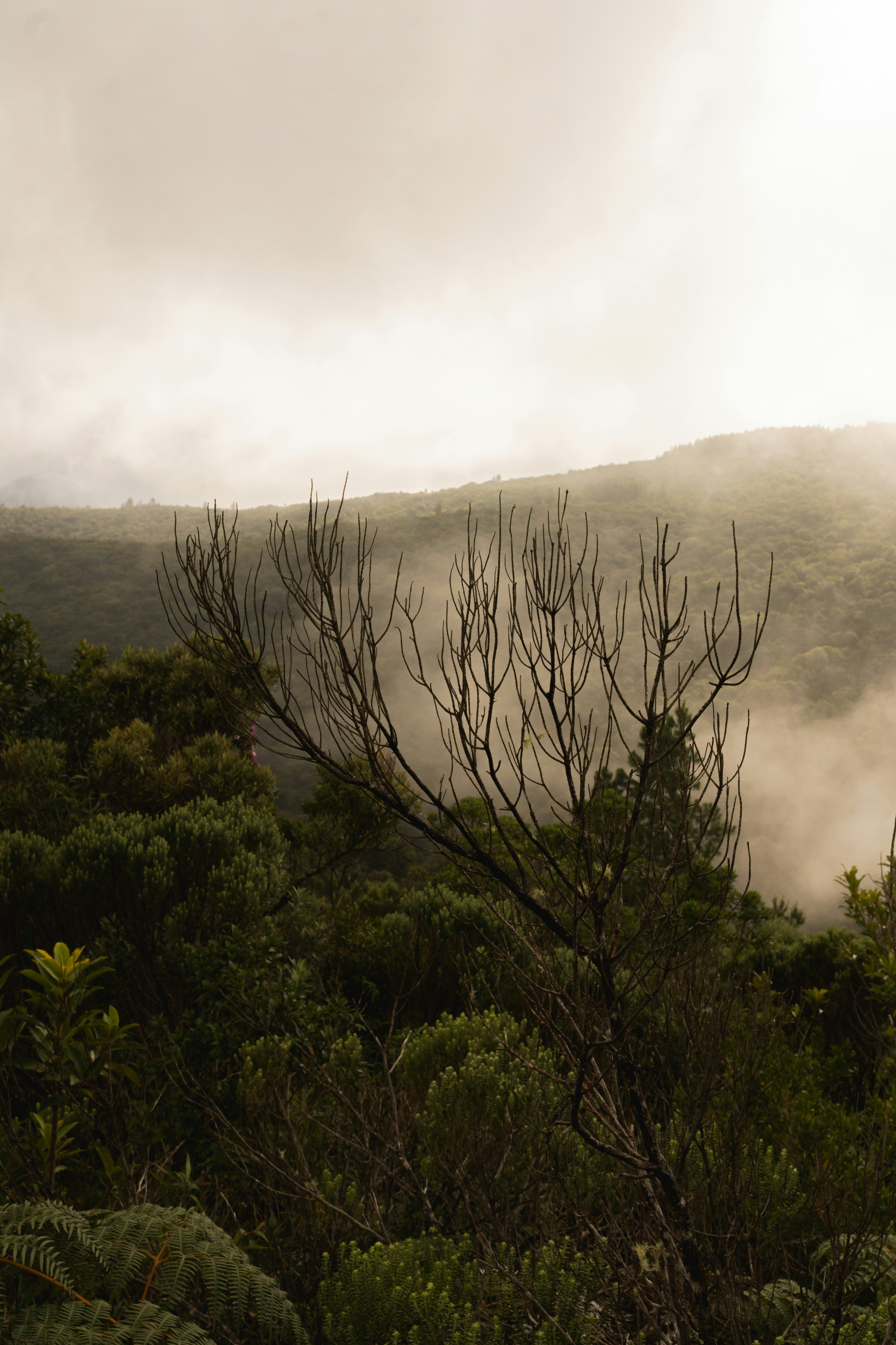 Photo by andreicastanha