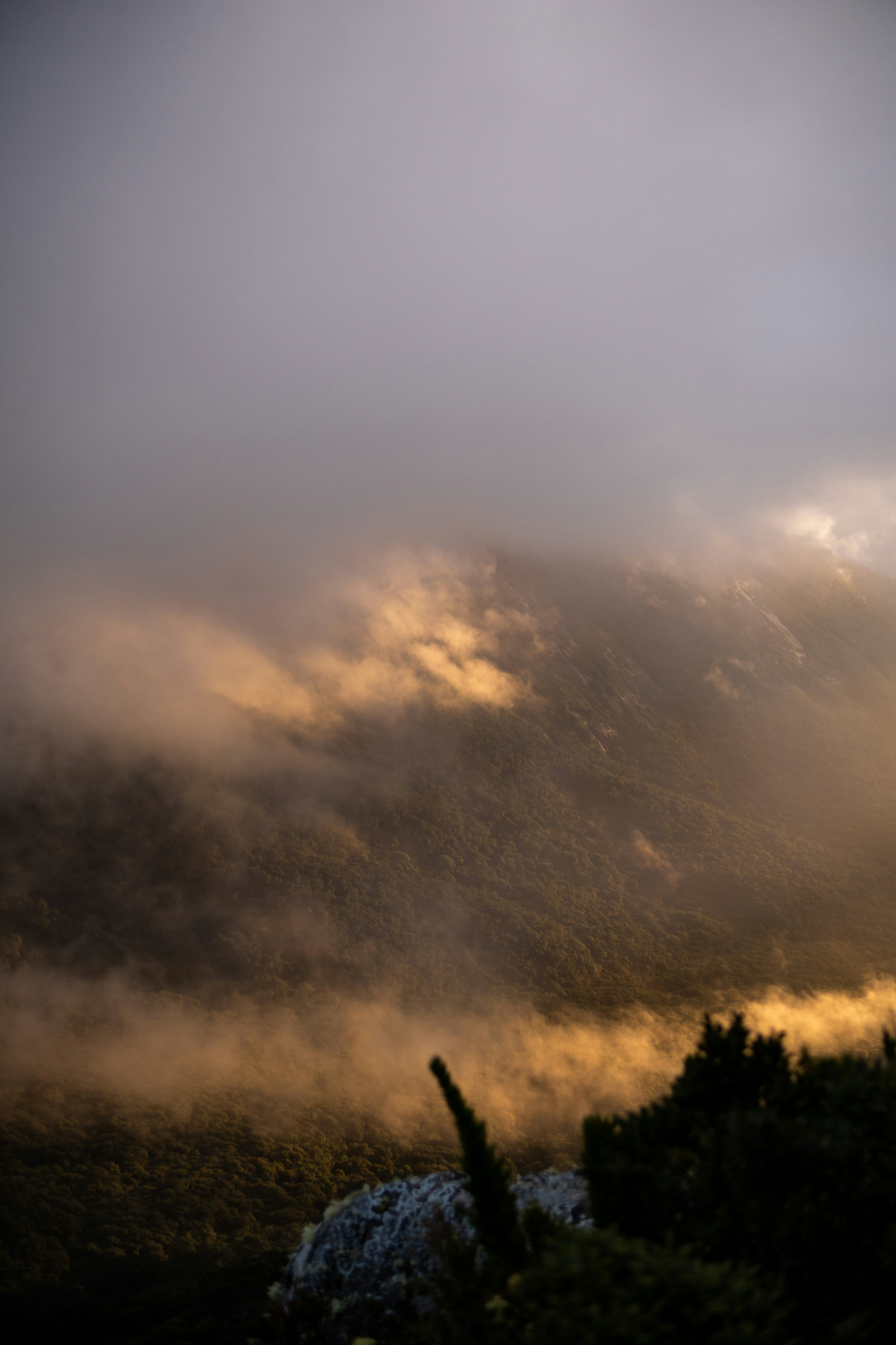 Photo by andreicastanha