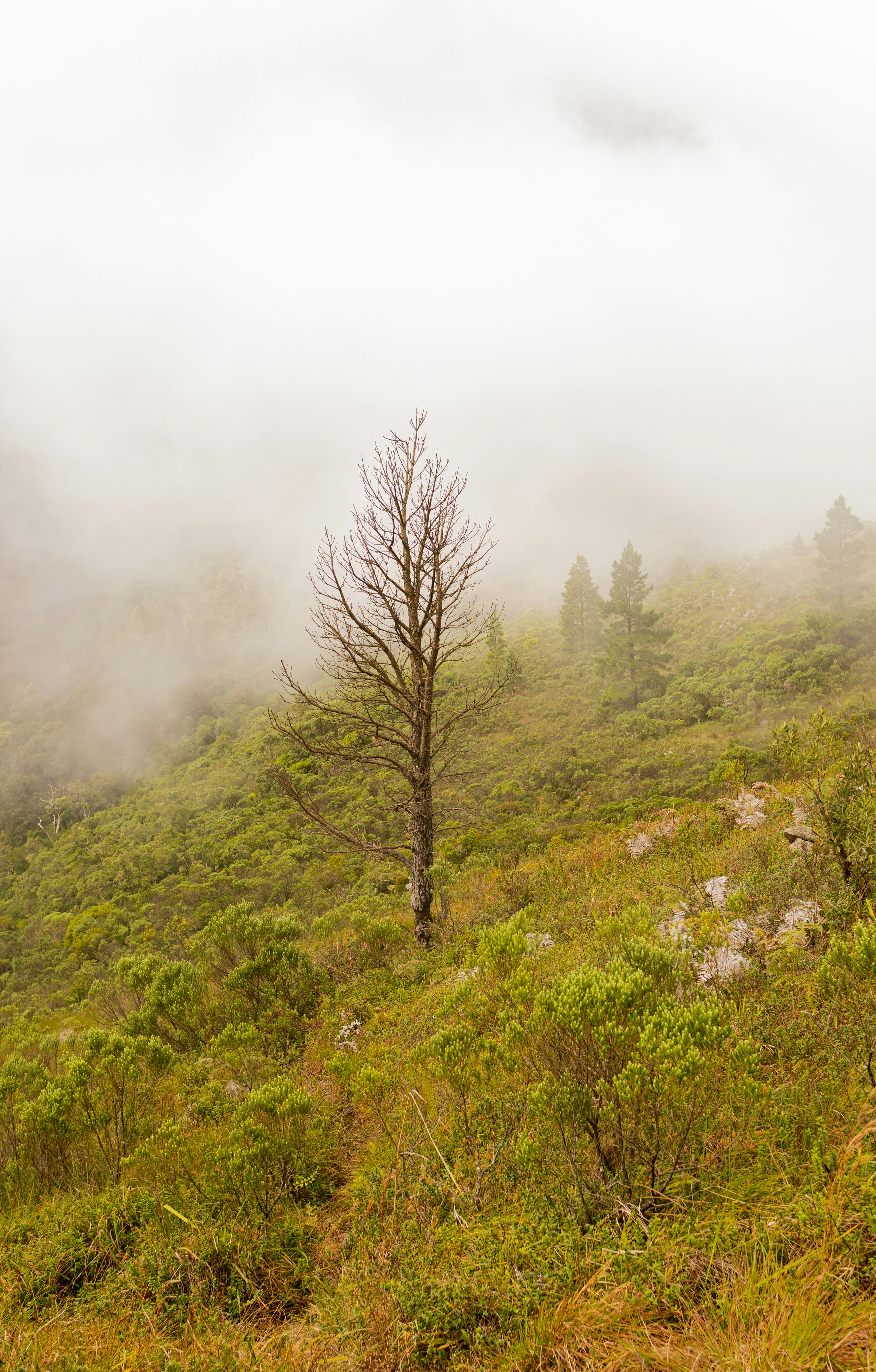 Photo by andreicastanha