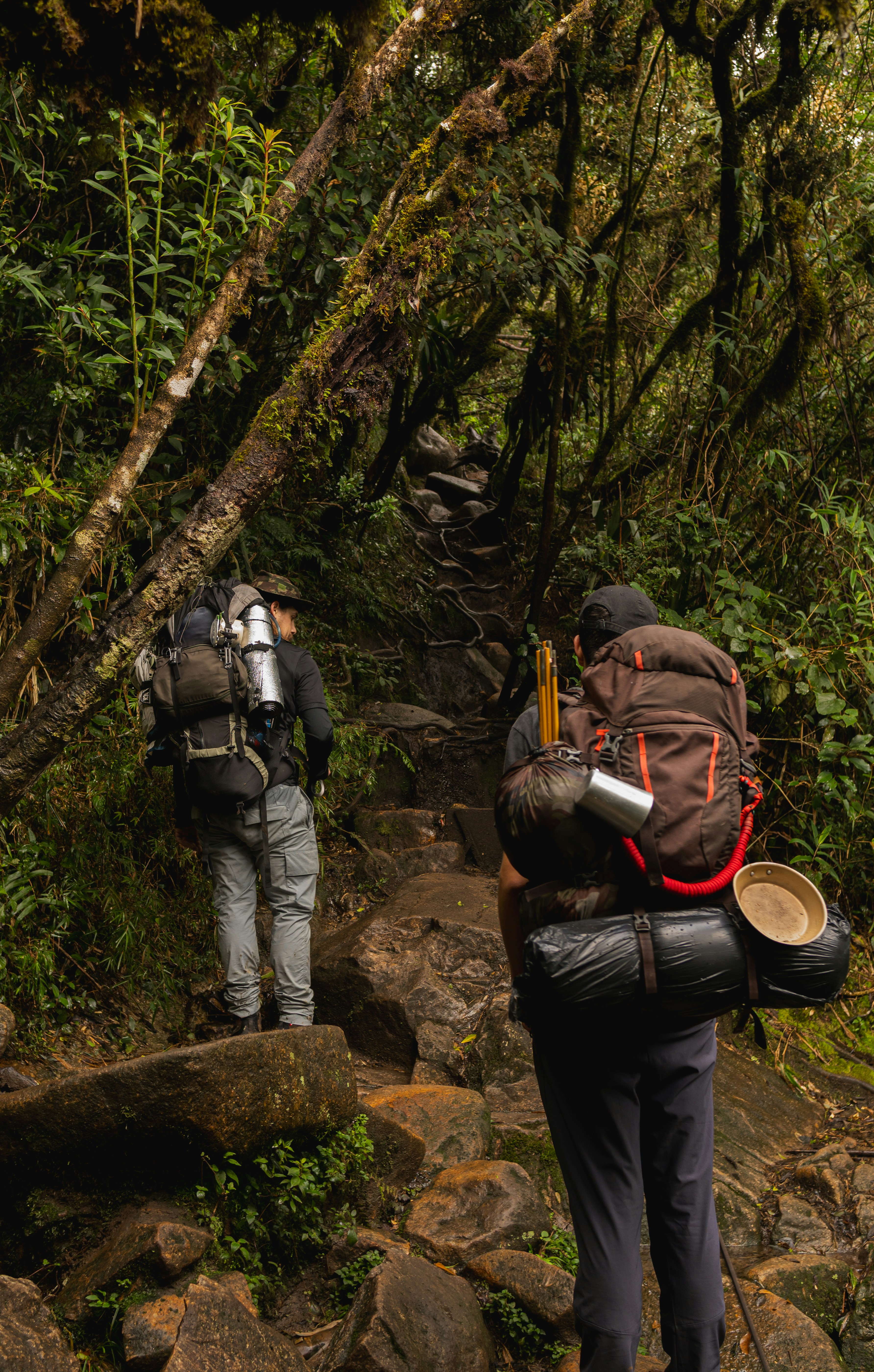 Photo by andreicastanha