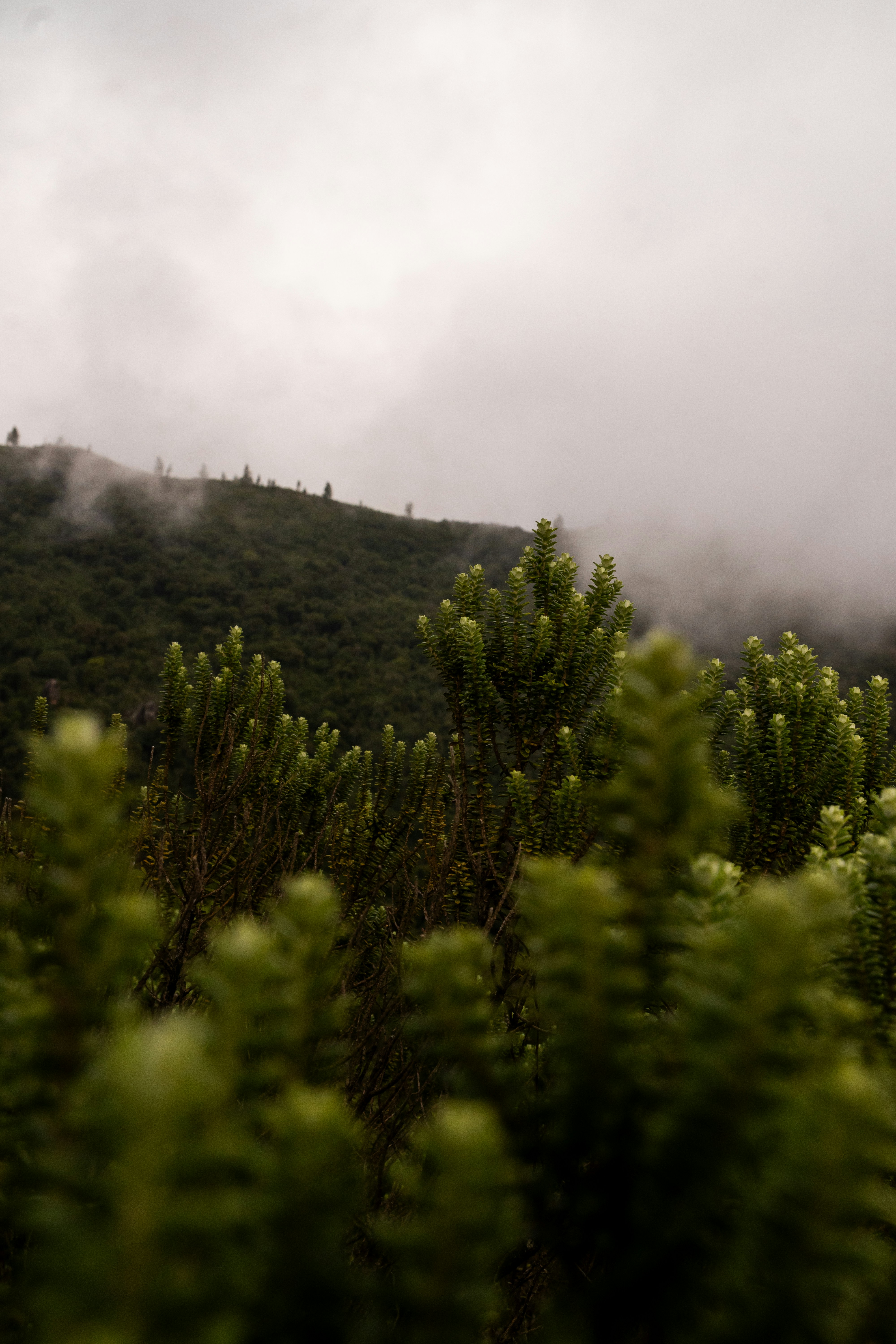 Photo by andreicastanha