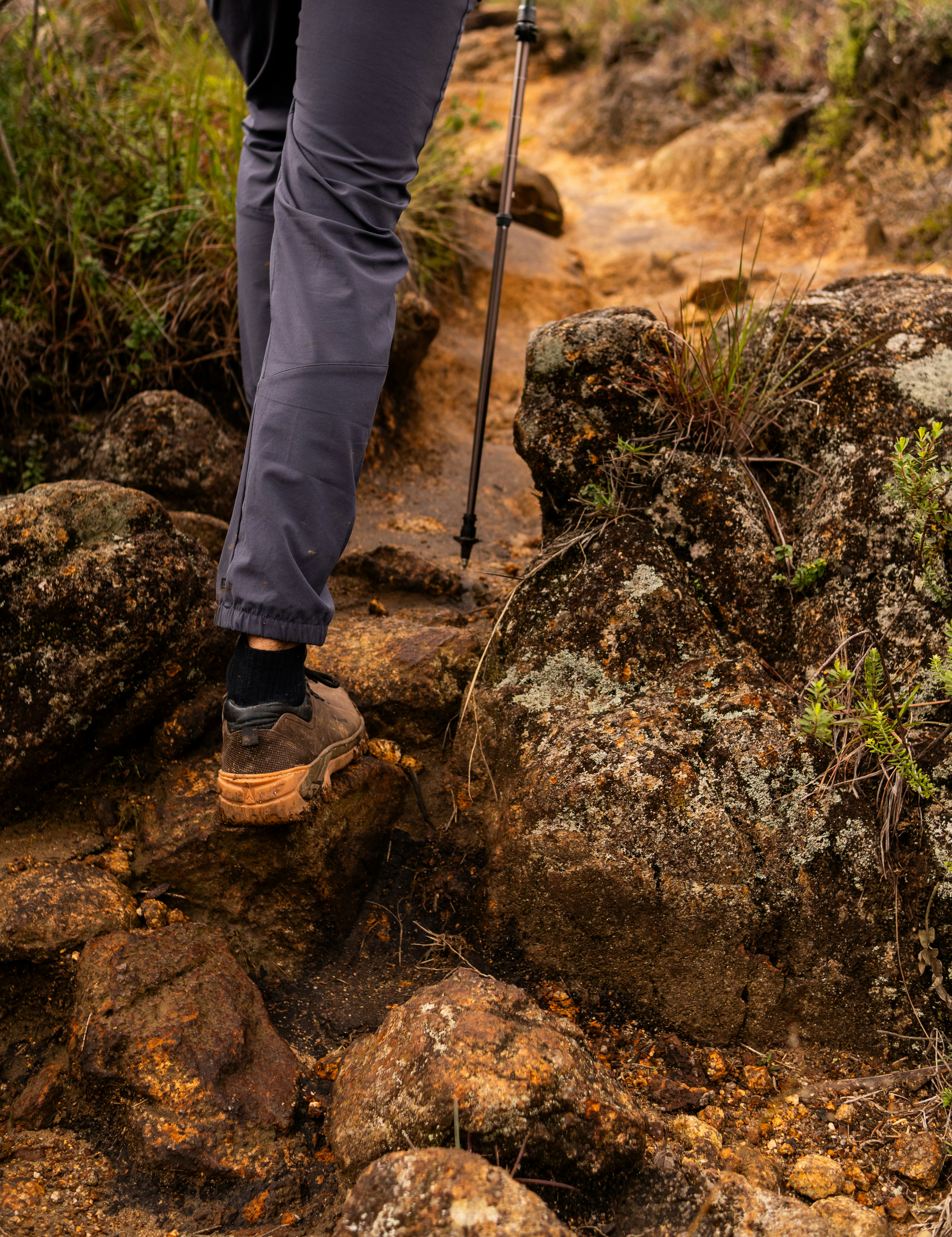 Hiker's low brown shoe and grey trousers on a rocky, muddy trail, a trekking pole planted on the rocks ahead