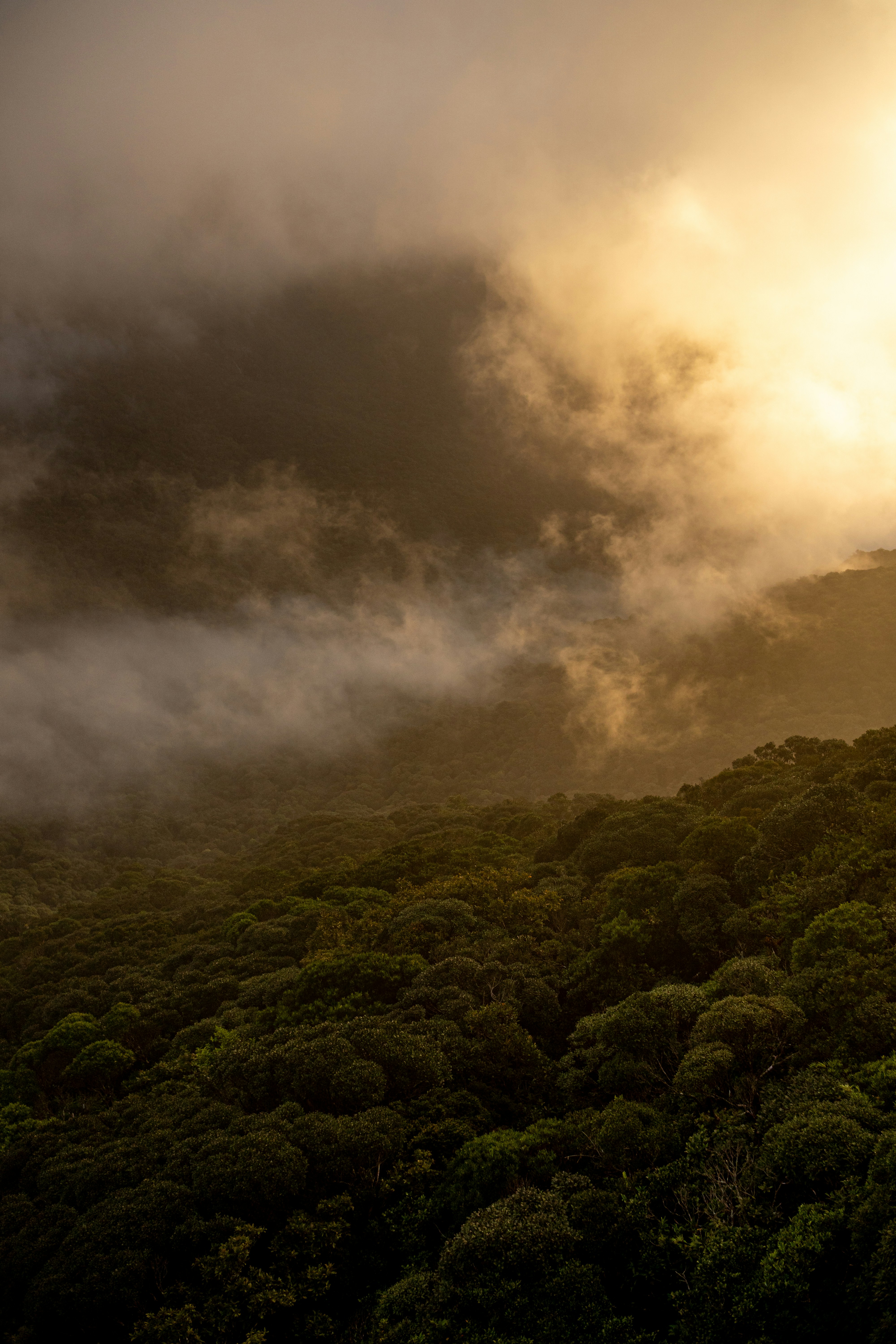 Photo by andreicastanha