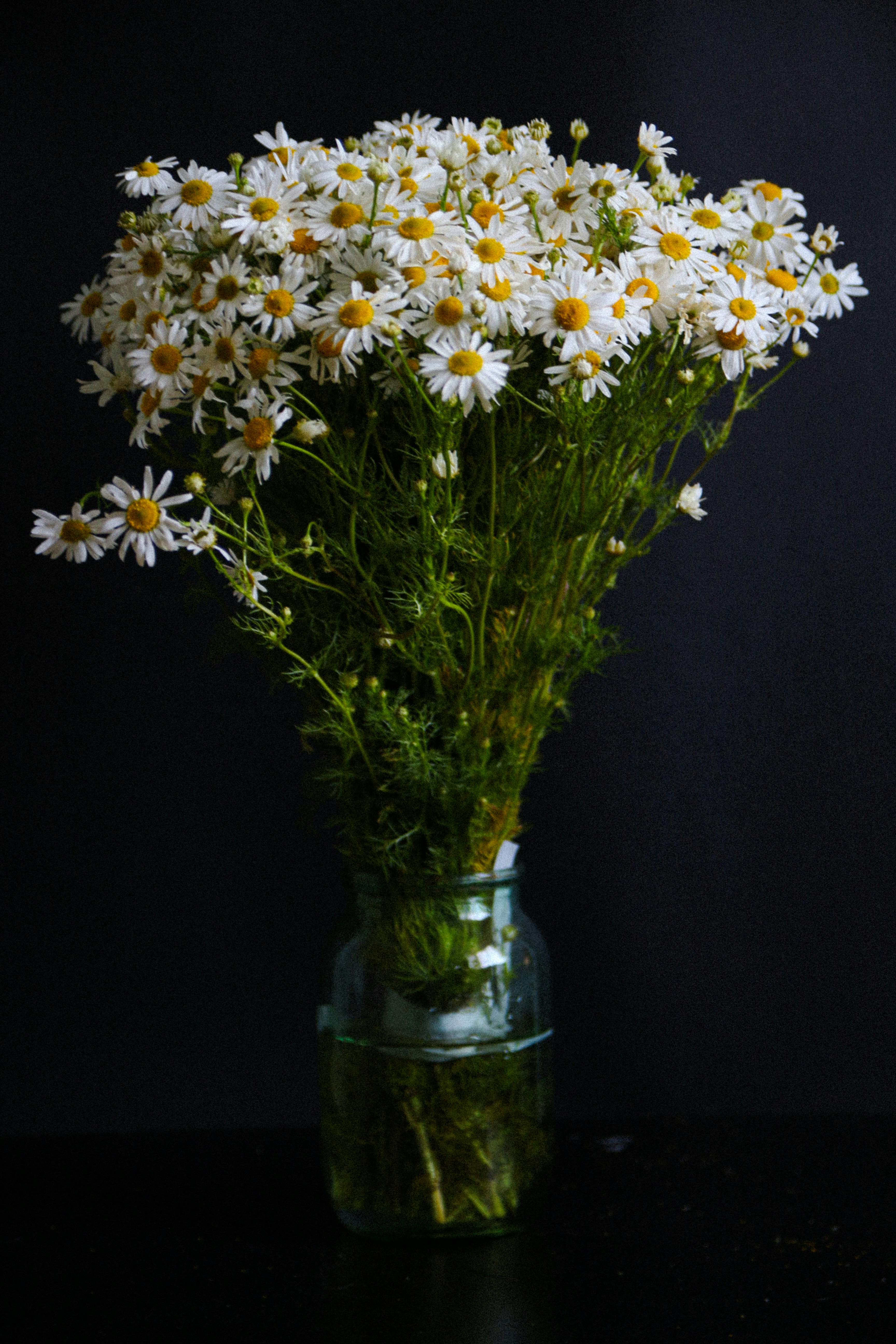 Photo by suleymanovae