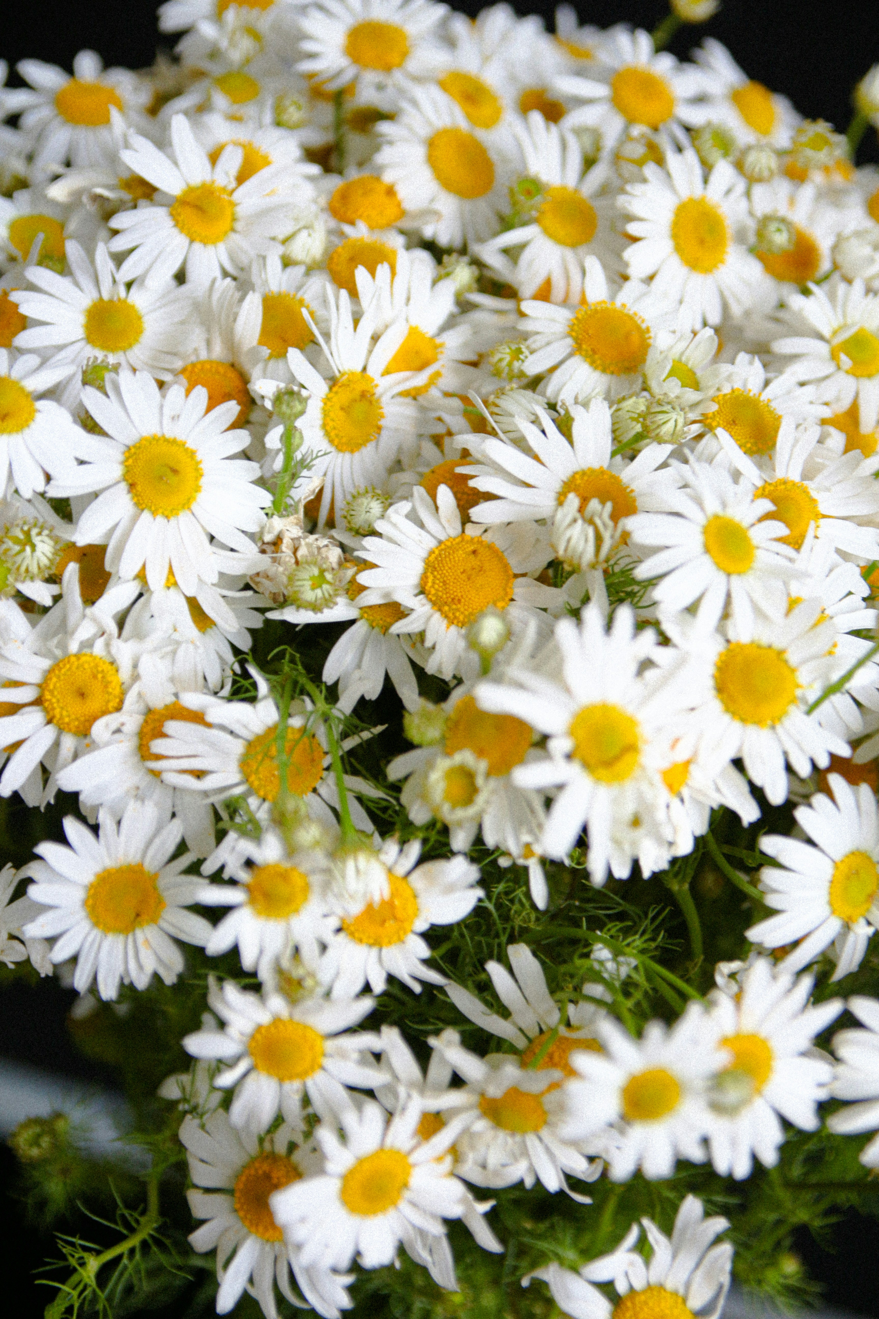 Photo by suleymanovae