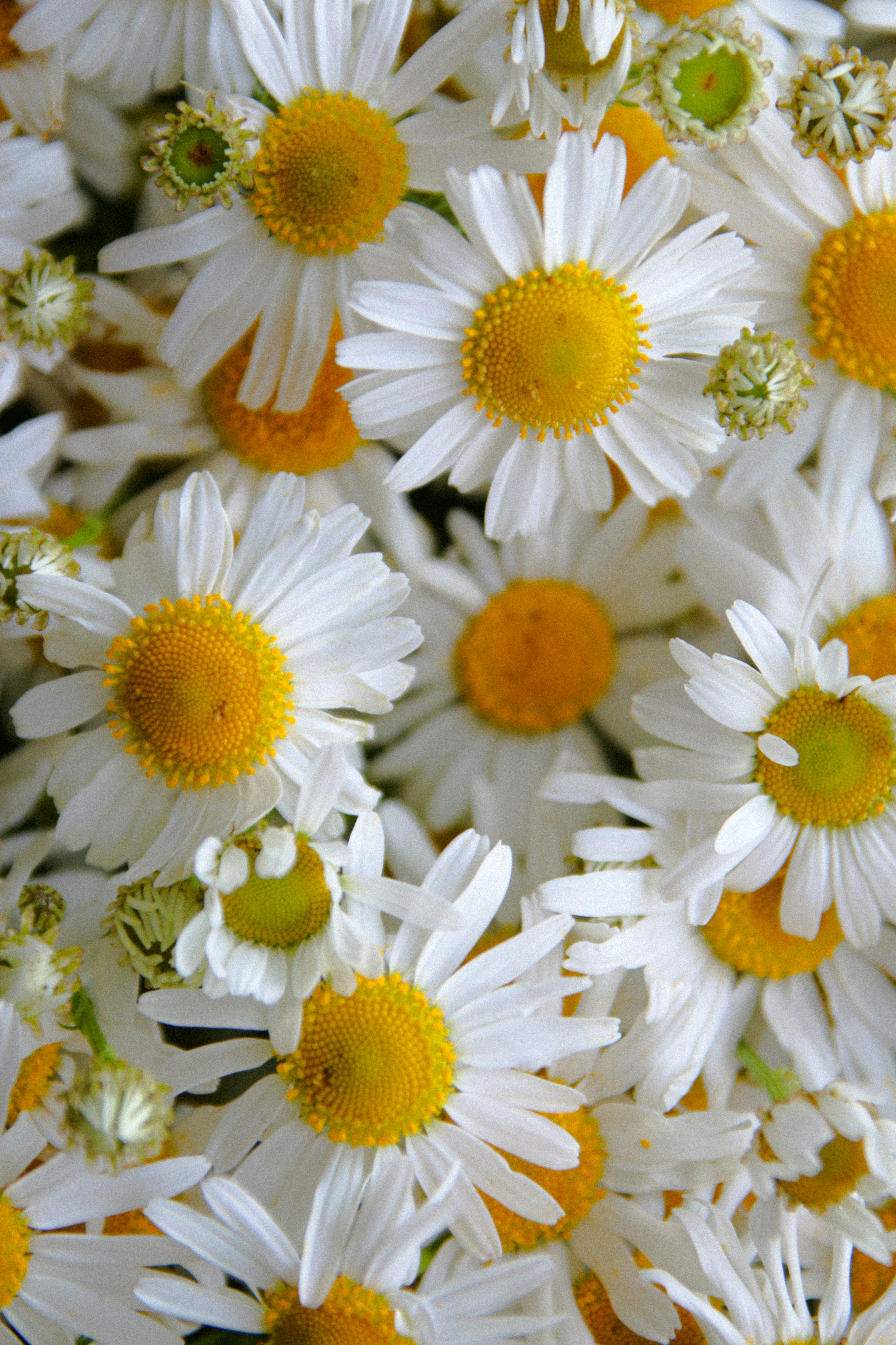 Photo by suleymanovae