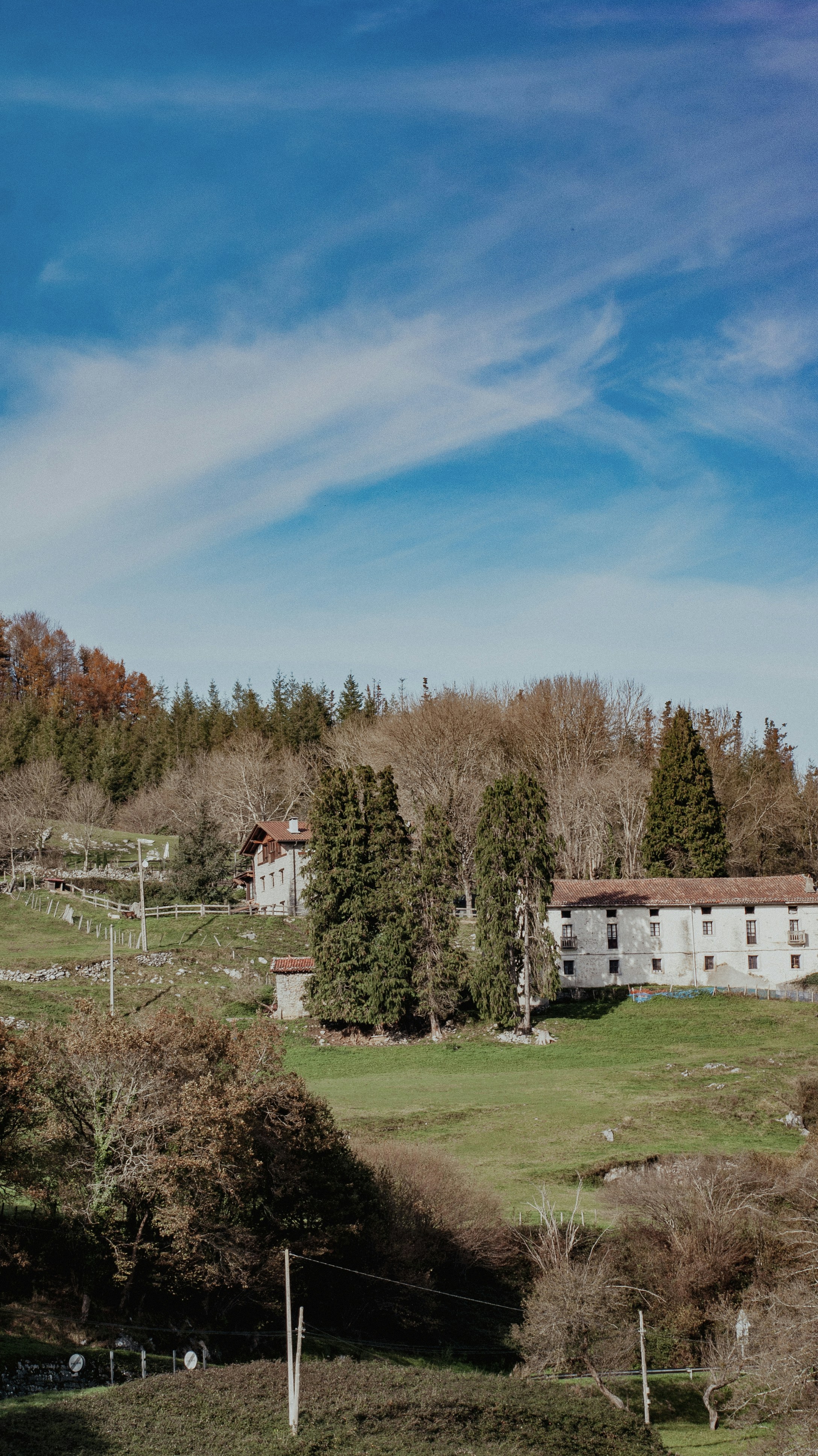Photo by larrar