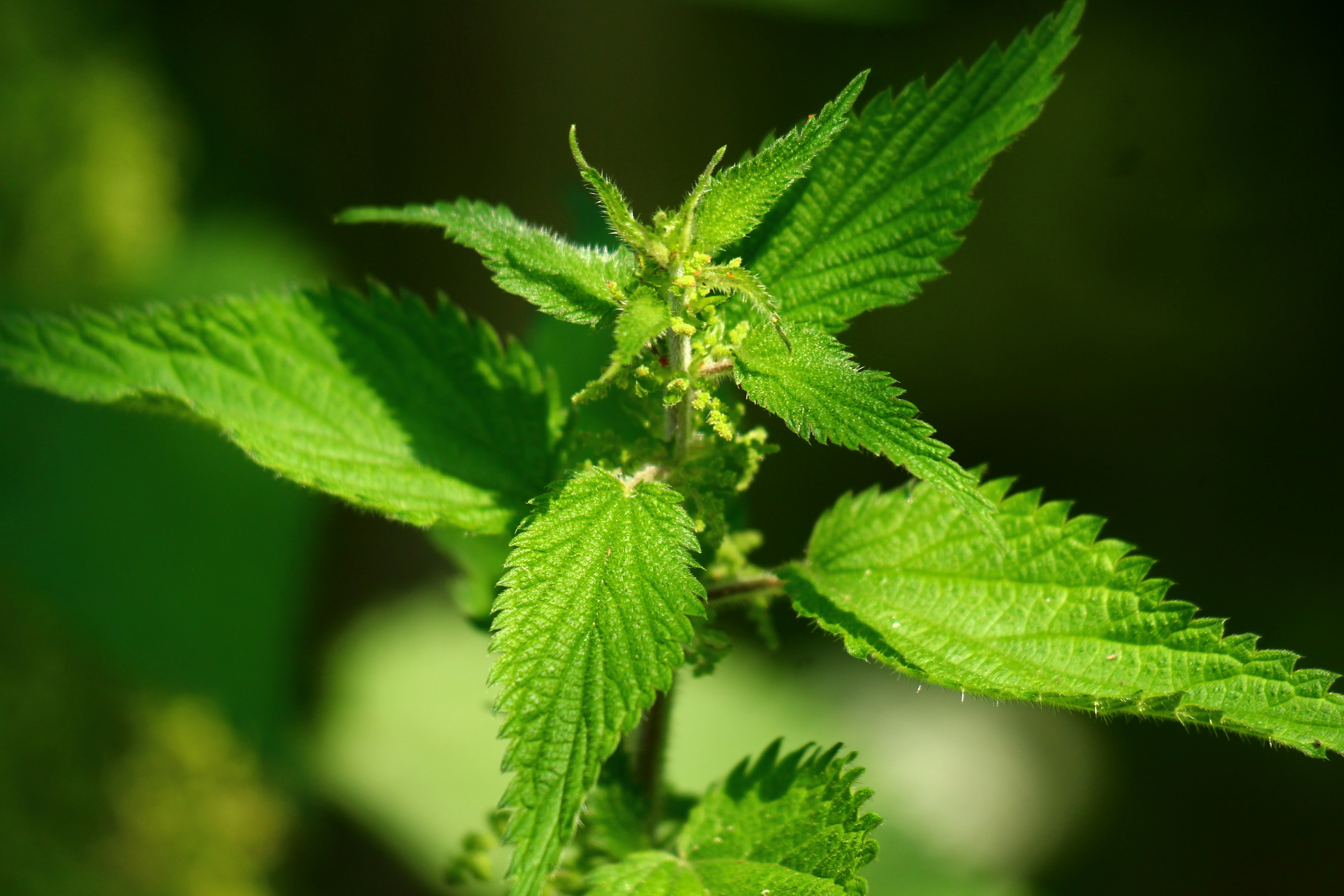 photo-1750357602725-e16c6ec576a3?ixid=M3