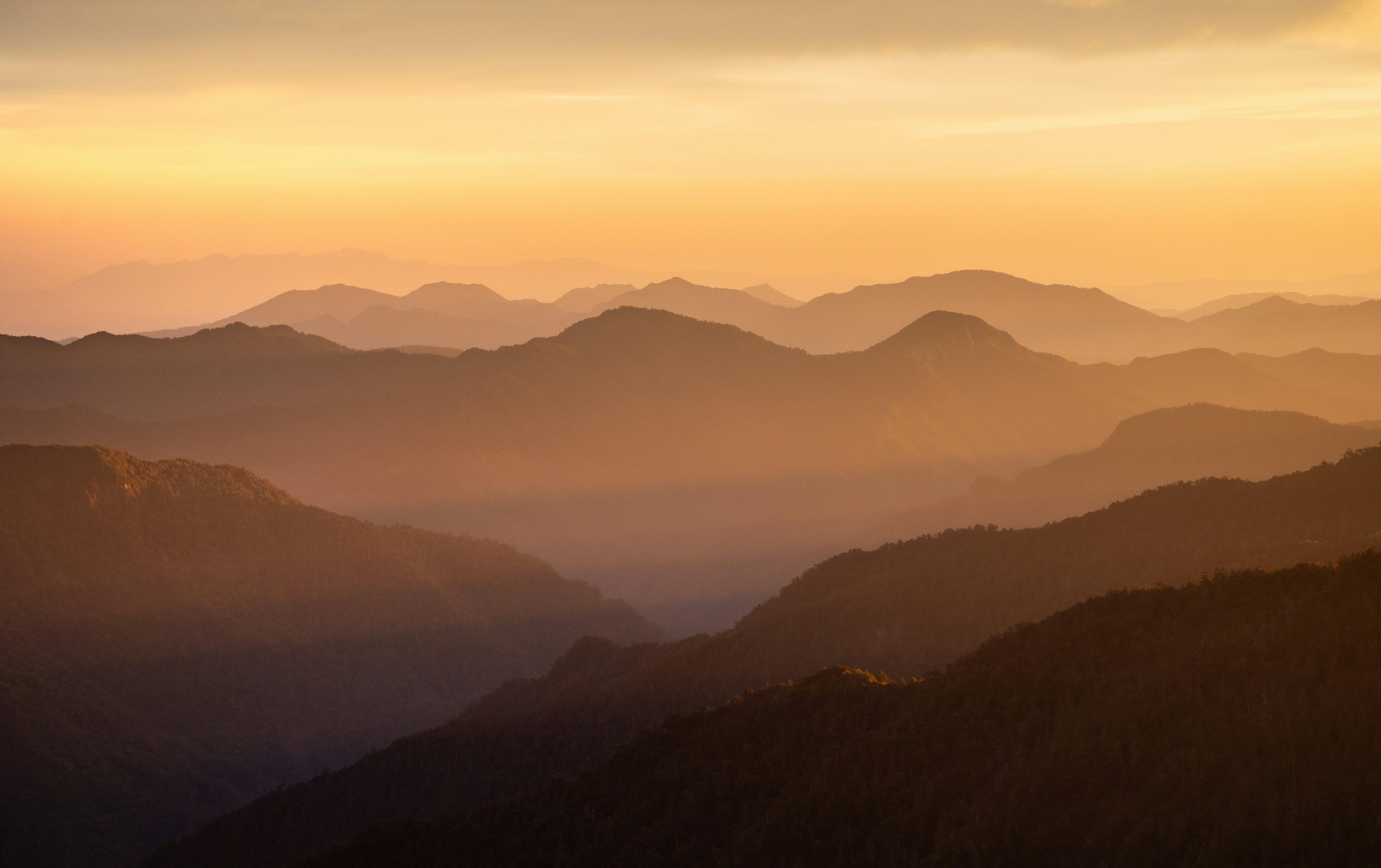 Photo by marekpiwnicki