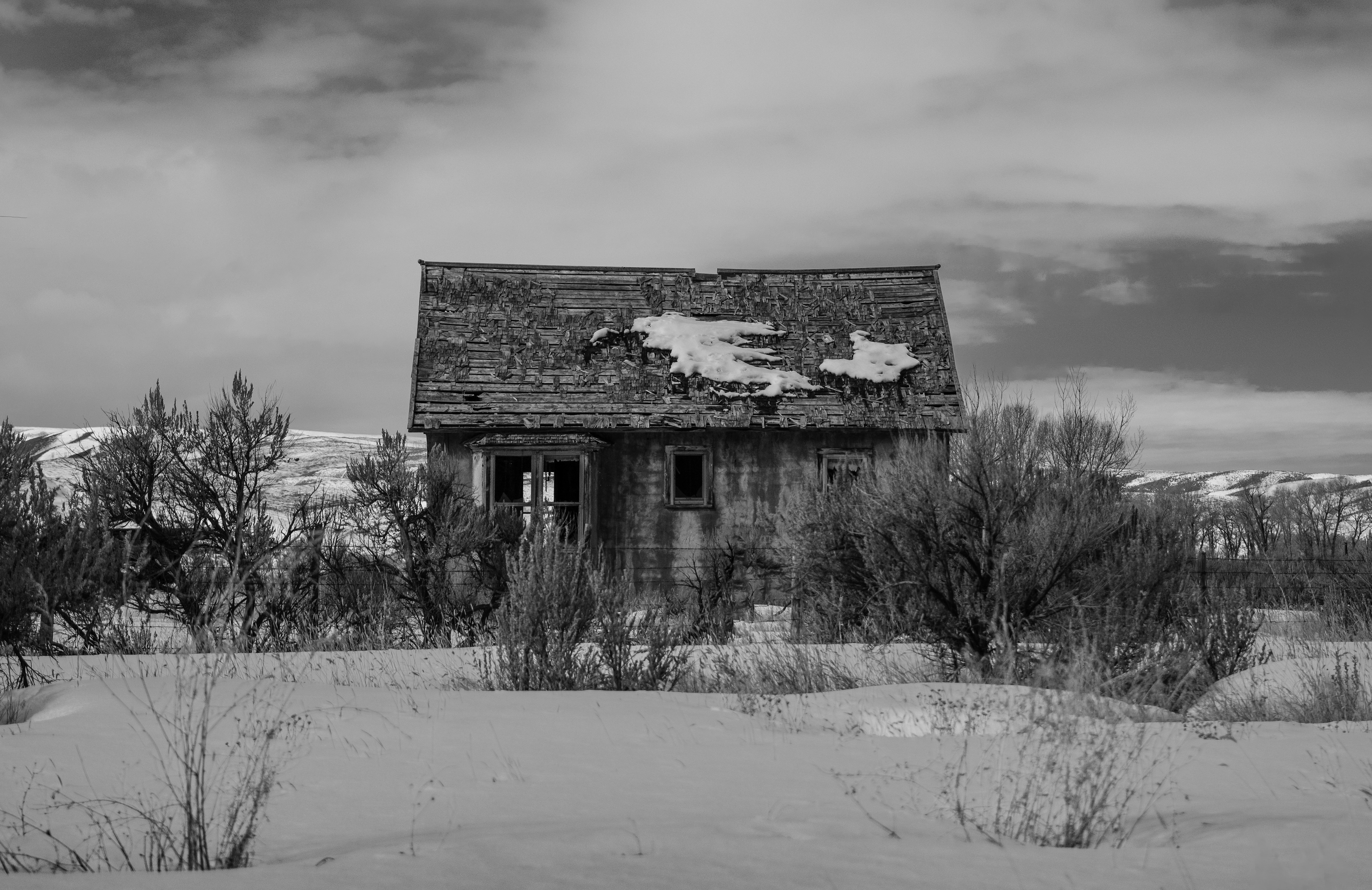 Photo by donald_merrill