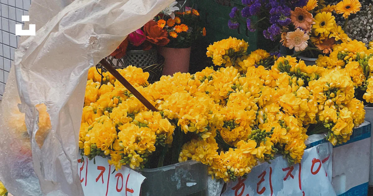 Yellow Display Floder A flower stand displays vibrant yellow blooms. photo – Free Flower ...