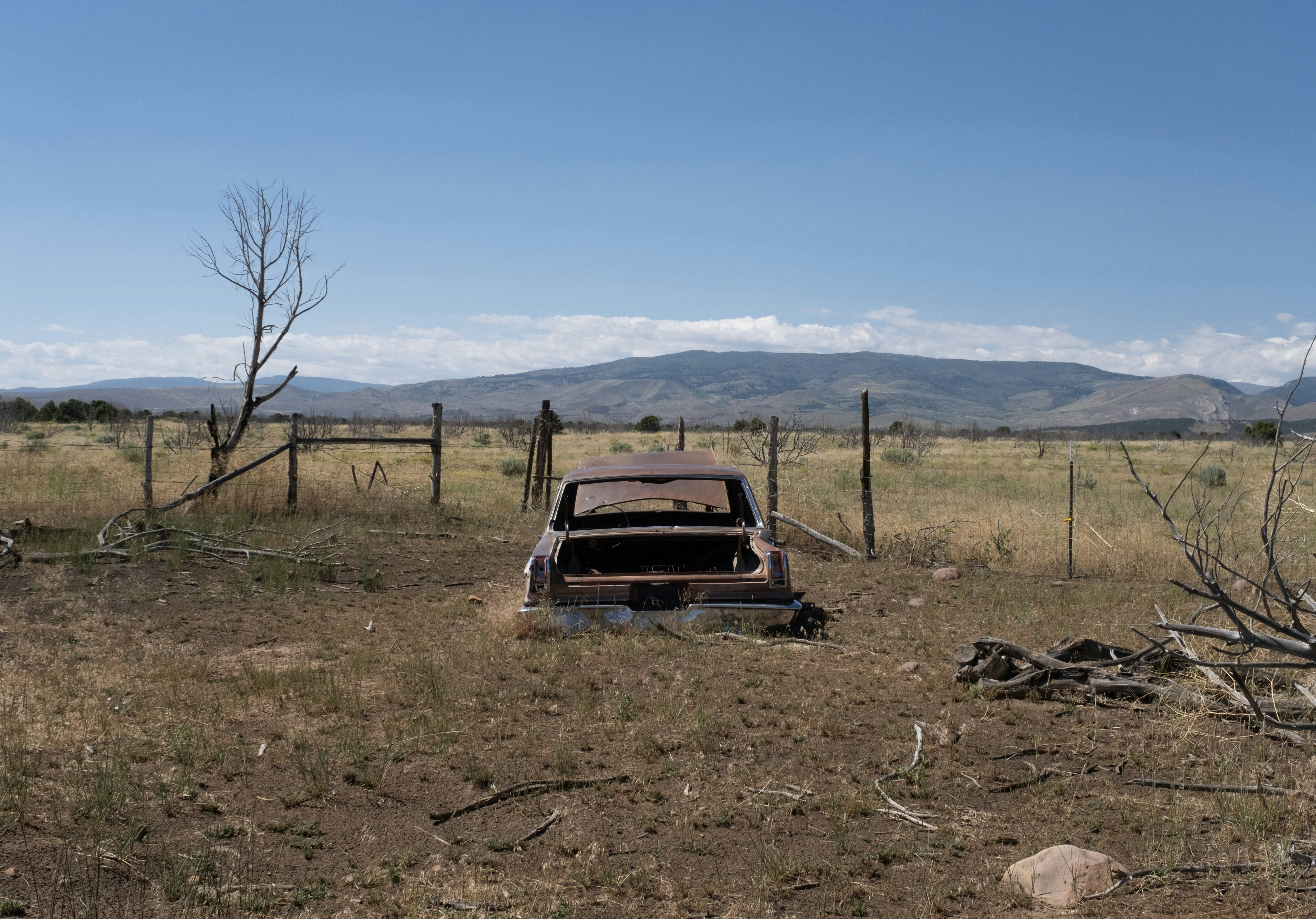 Photo by donald_merrill