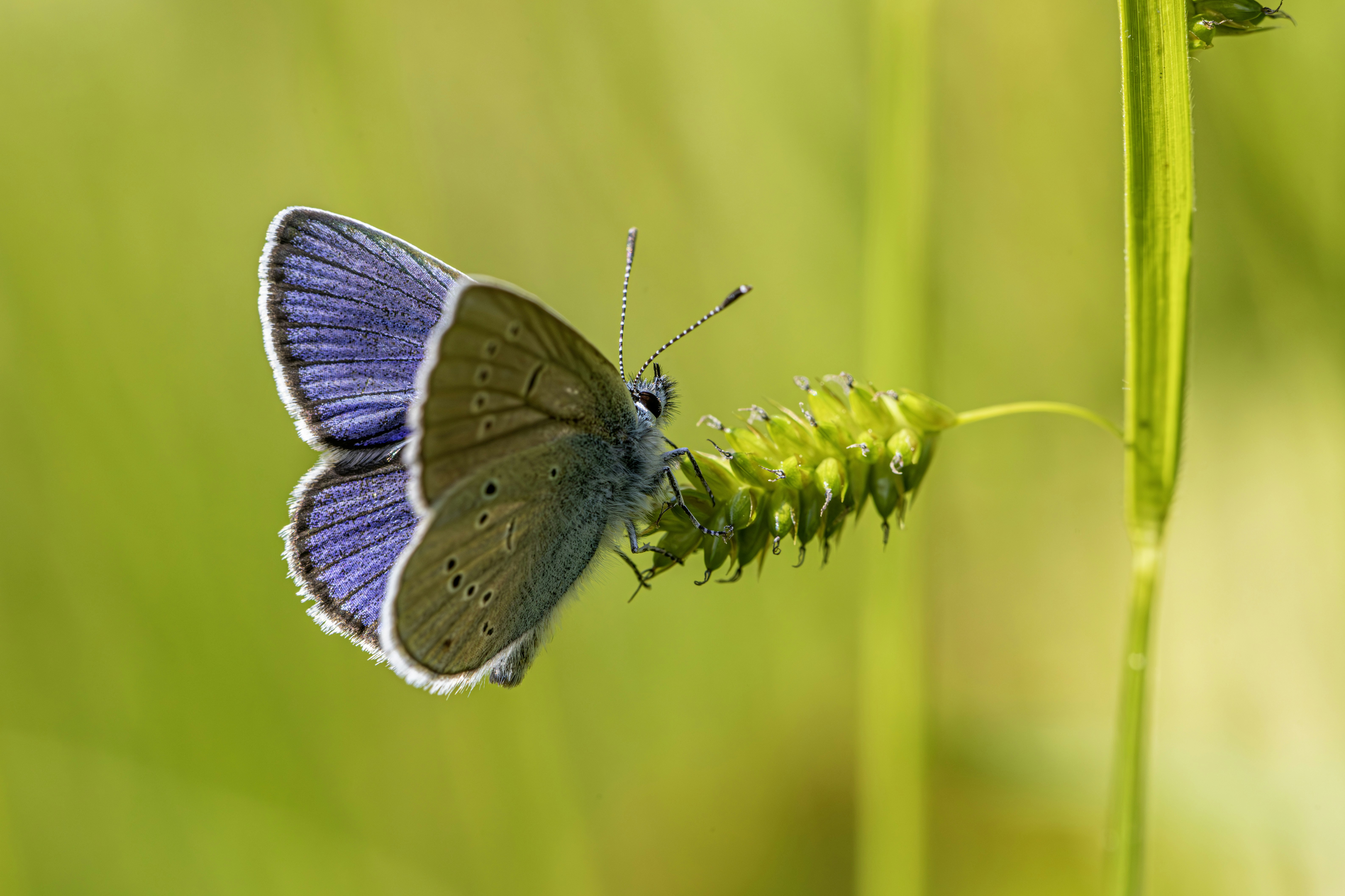 Photo by erik_karits