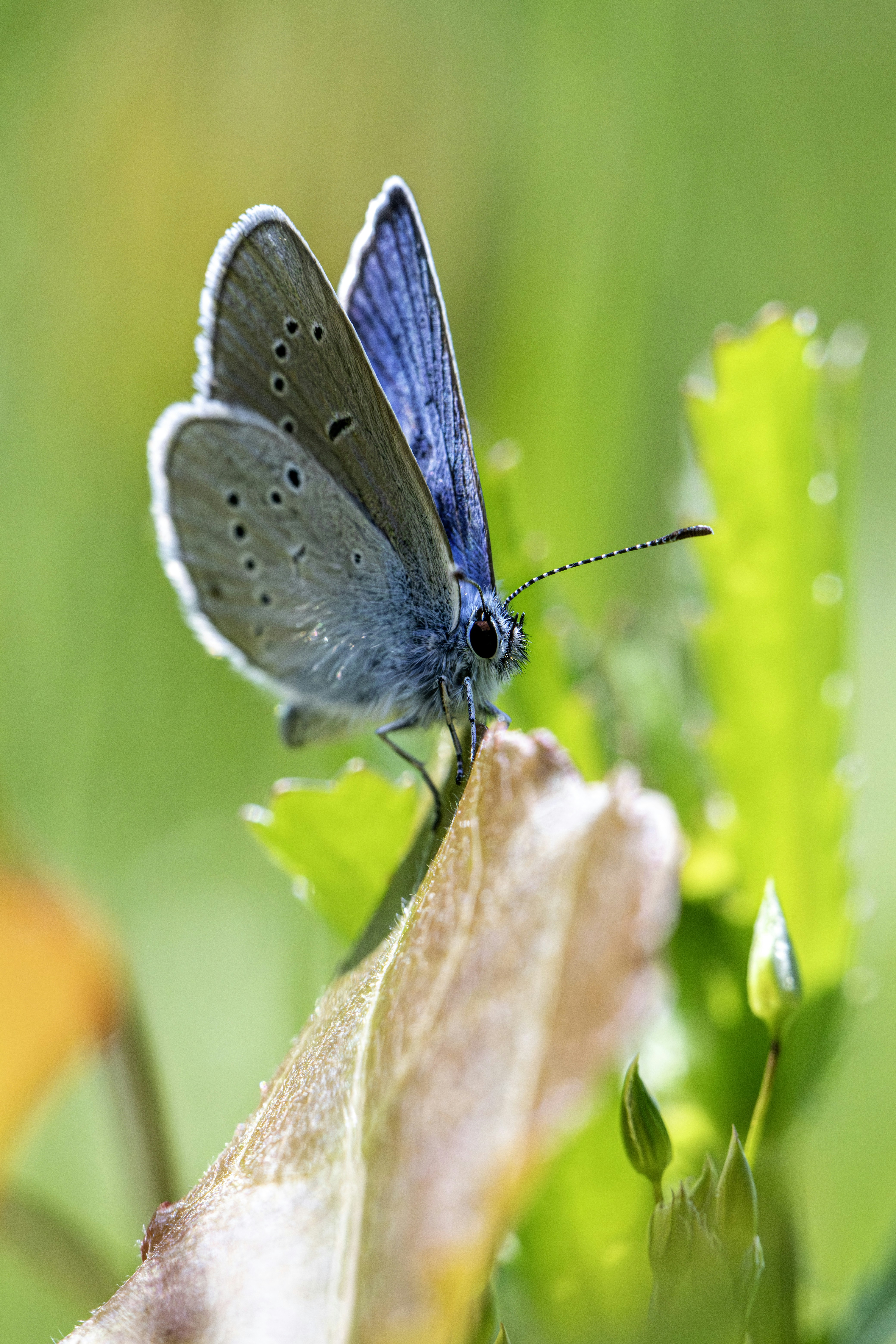 Photo by erik_karits