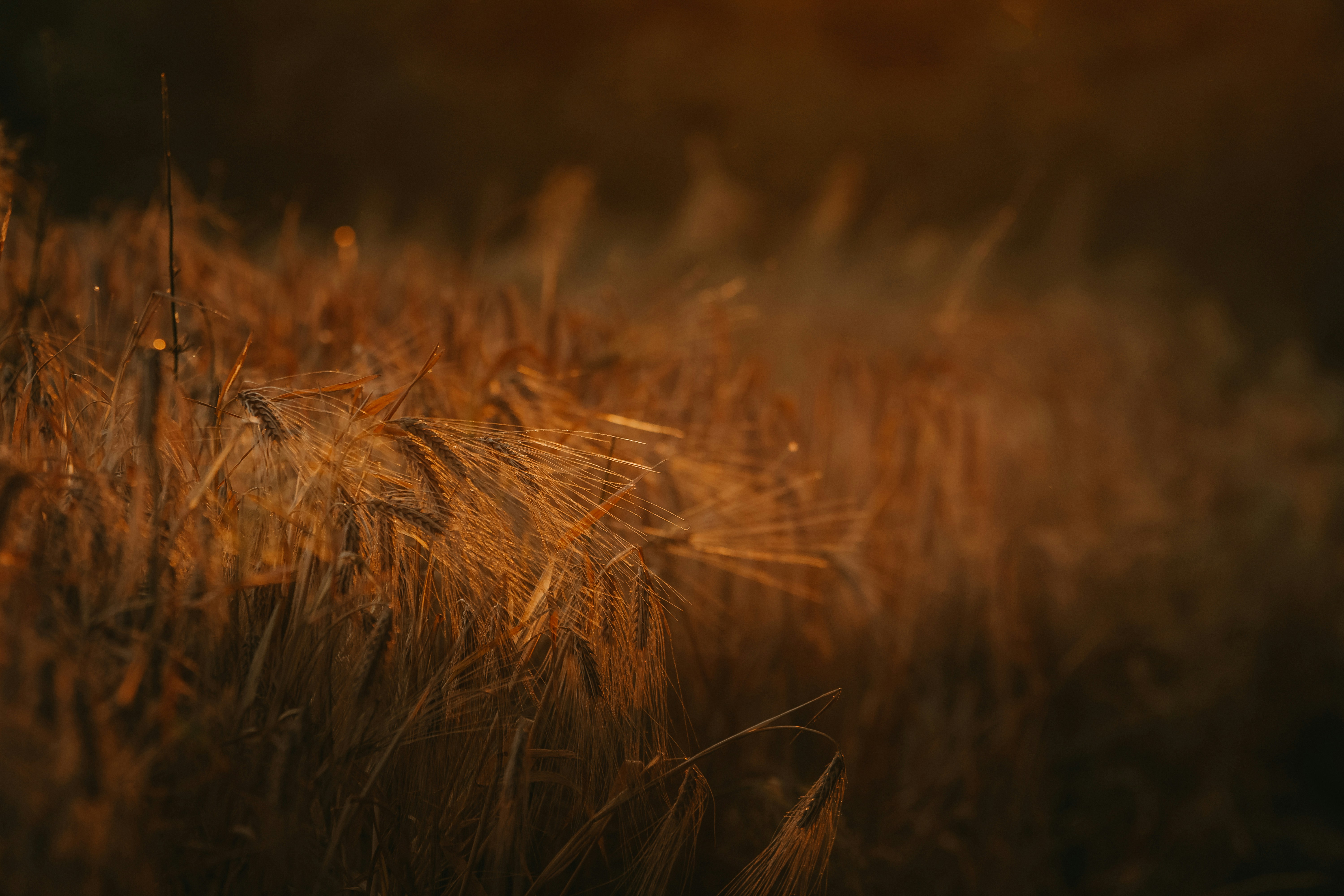 Photo by sylvester_s