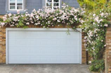 Garage door is covered with beautiful climbing roses.