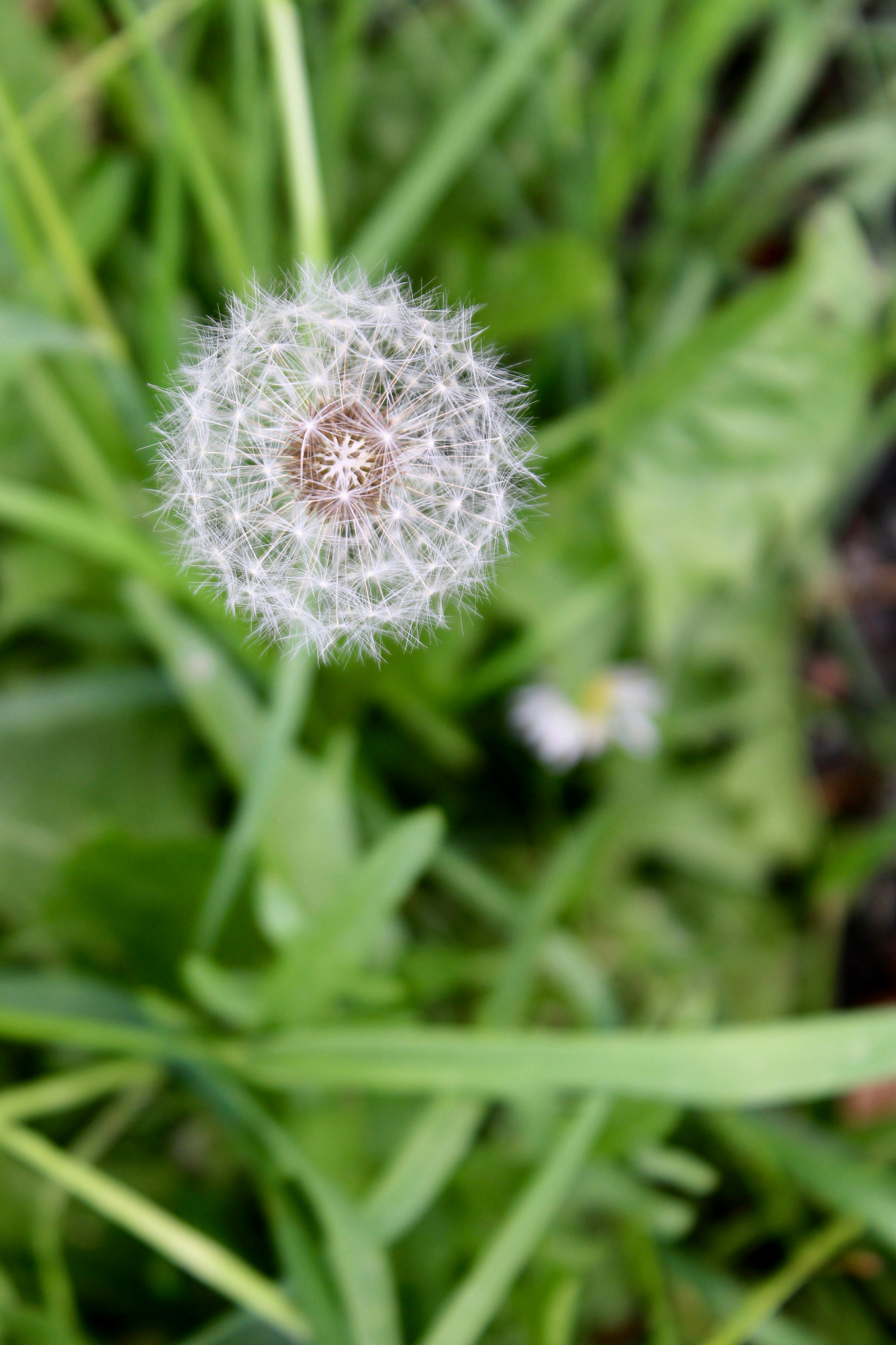 Photo by priyankachechi29