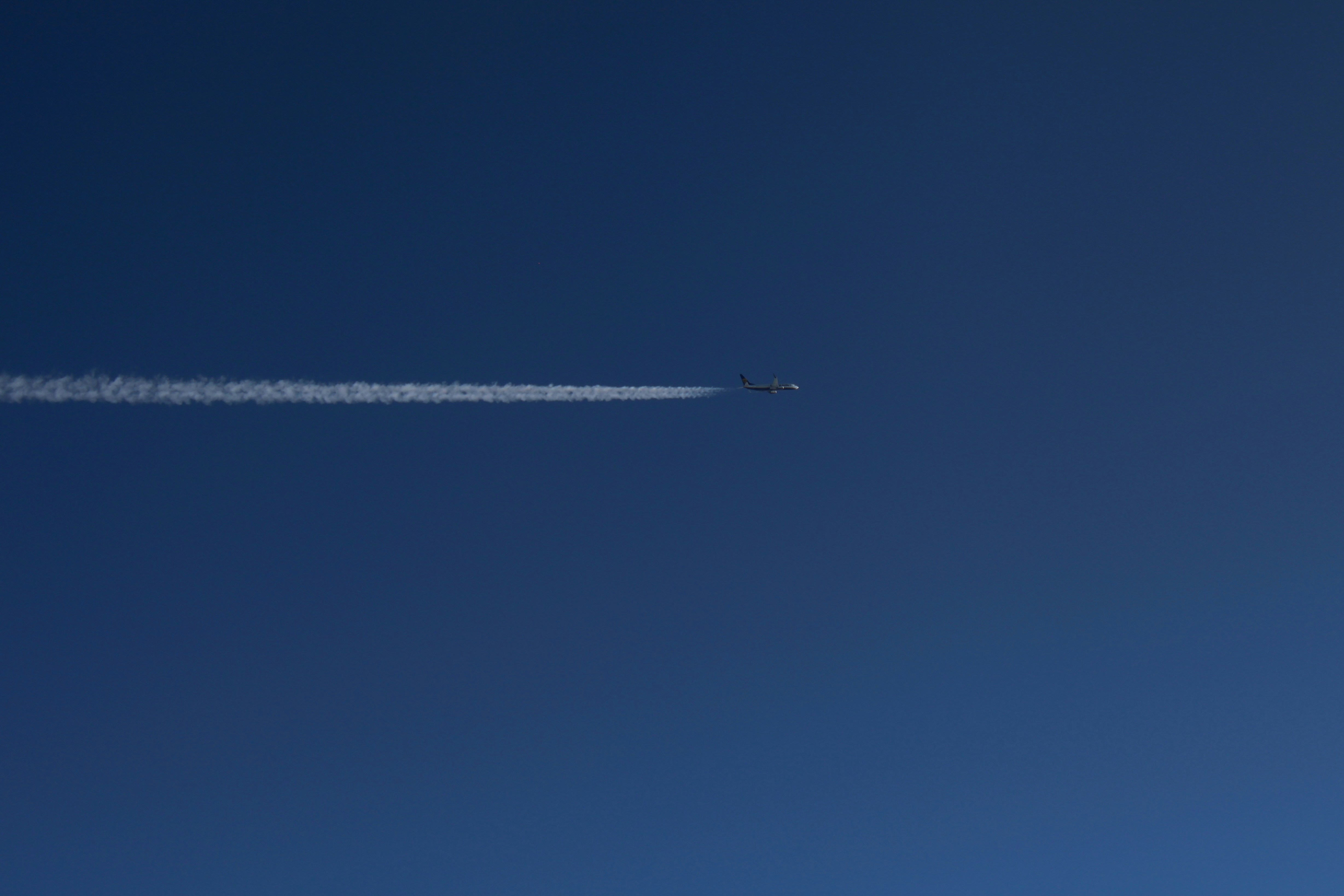 Real-time LAX flight status updates screen