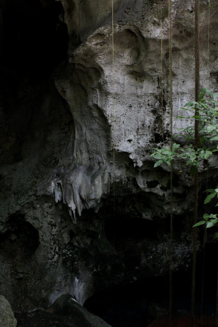 Vallon des Carmes