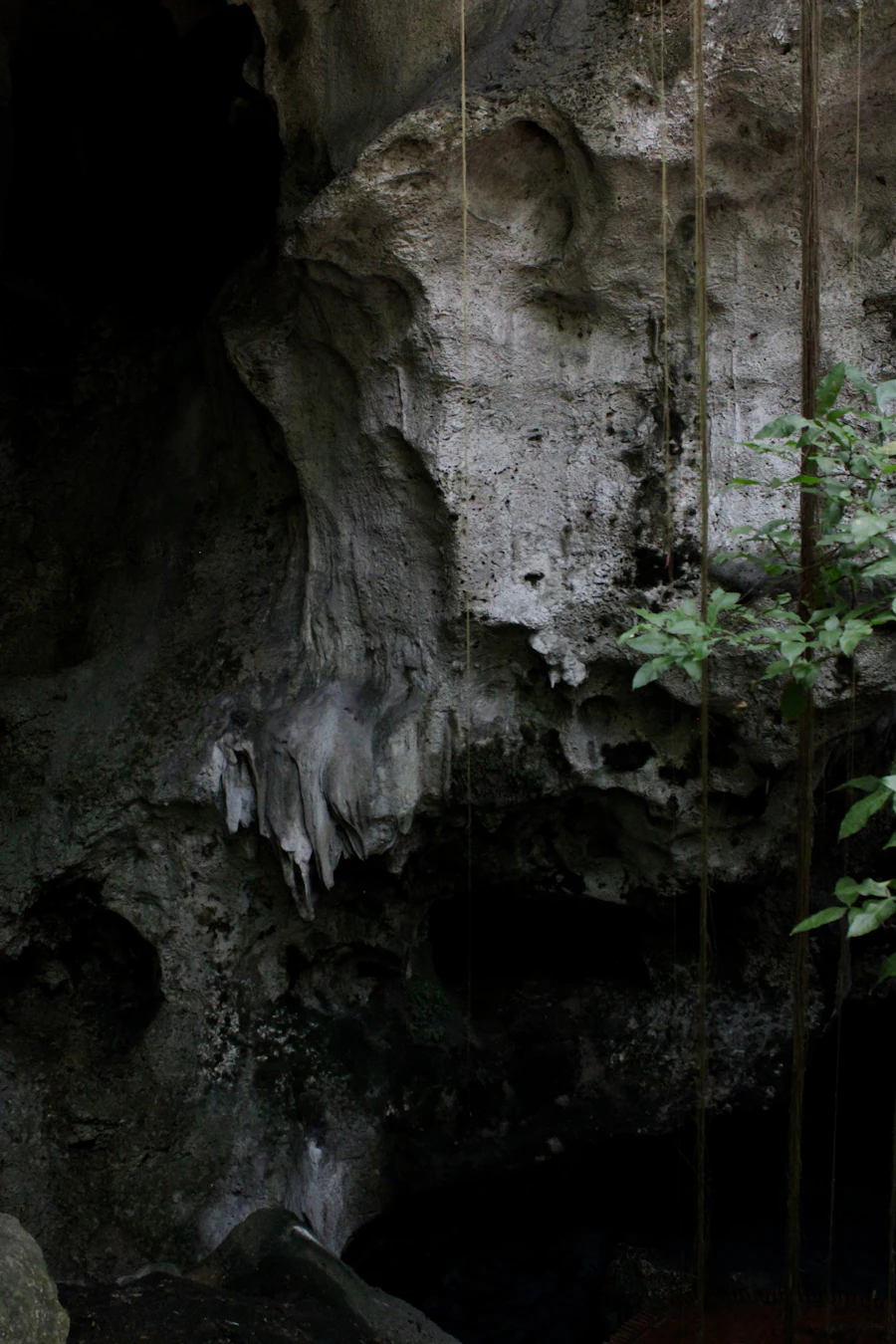 Grottes et cascade du Vallon des Carmes