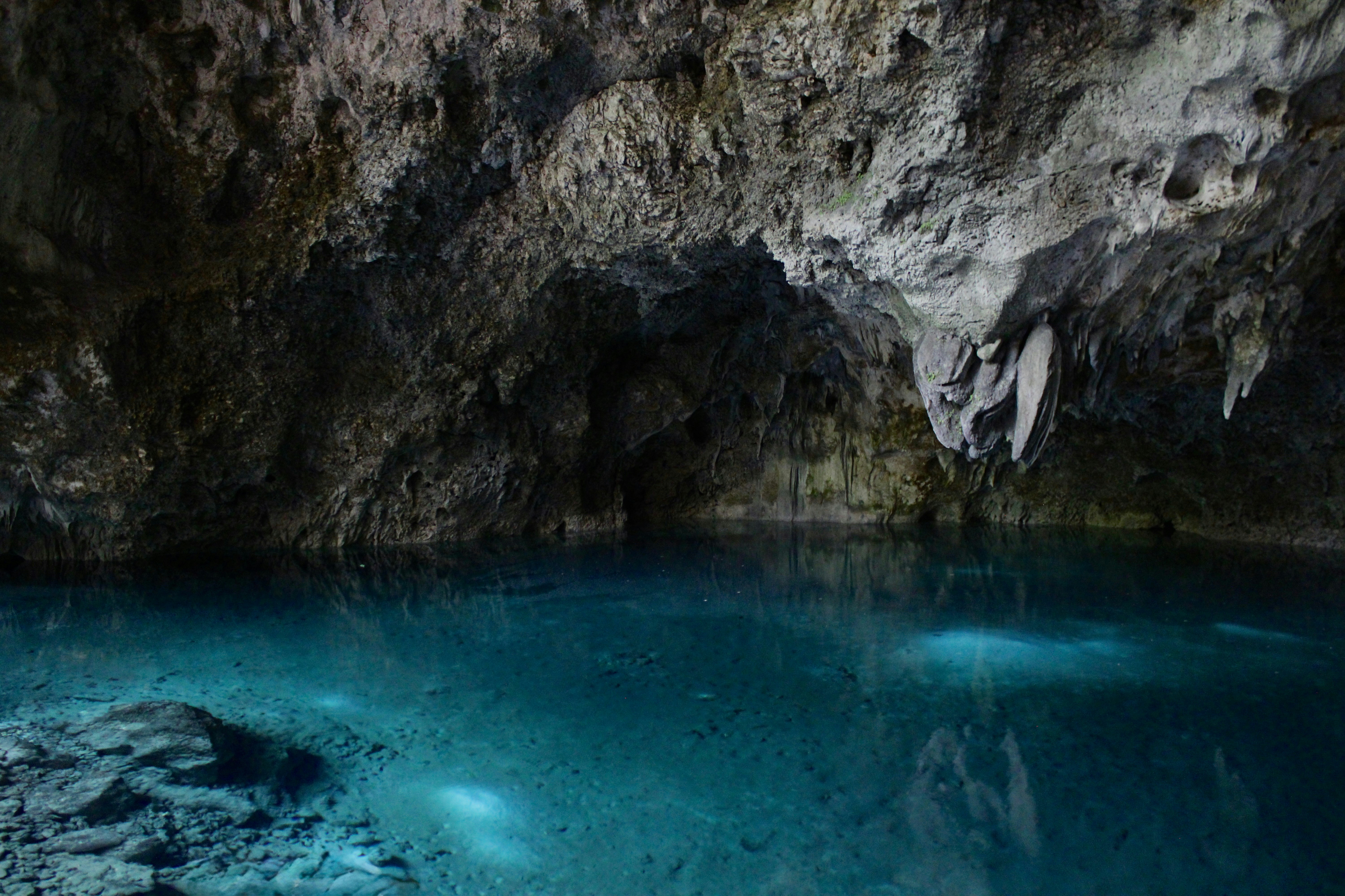 Photo by priyankachechi29