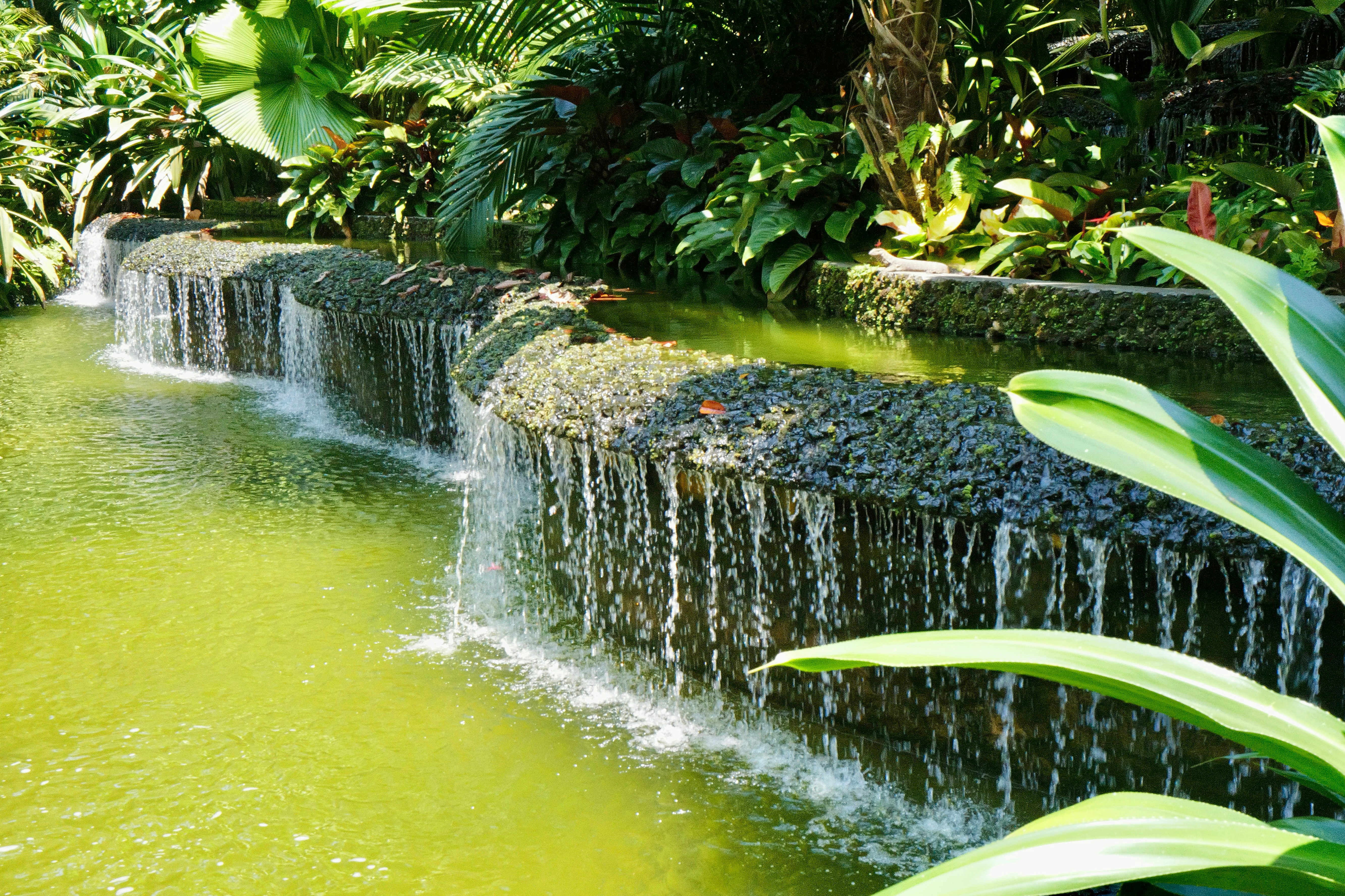 Cascading water flows into a lush green pond.