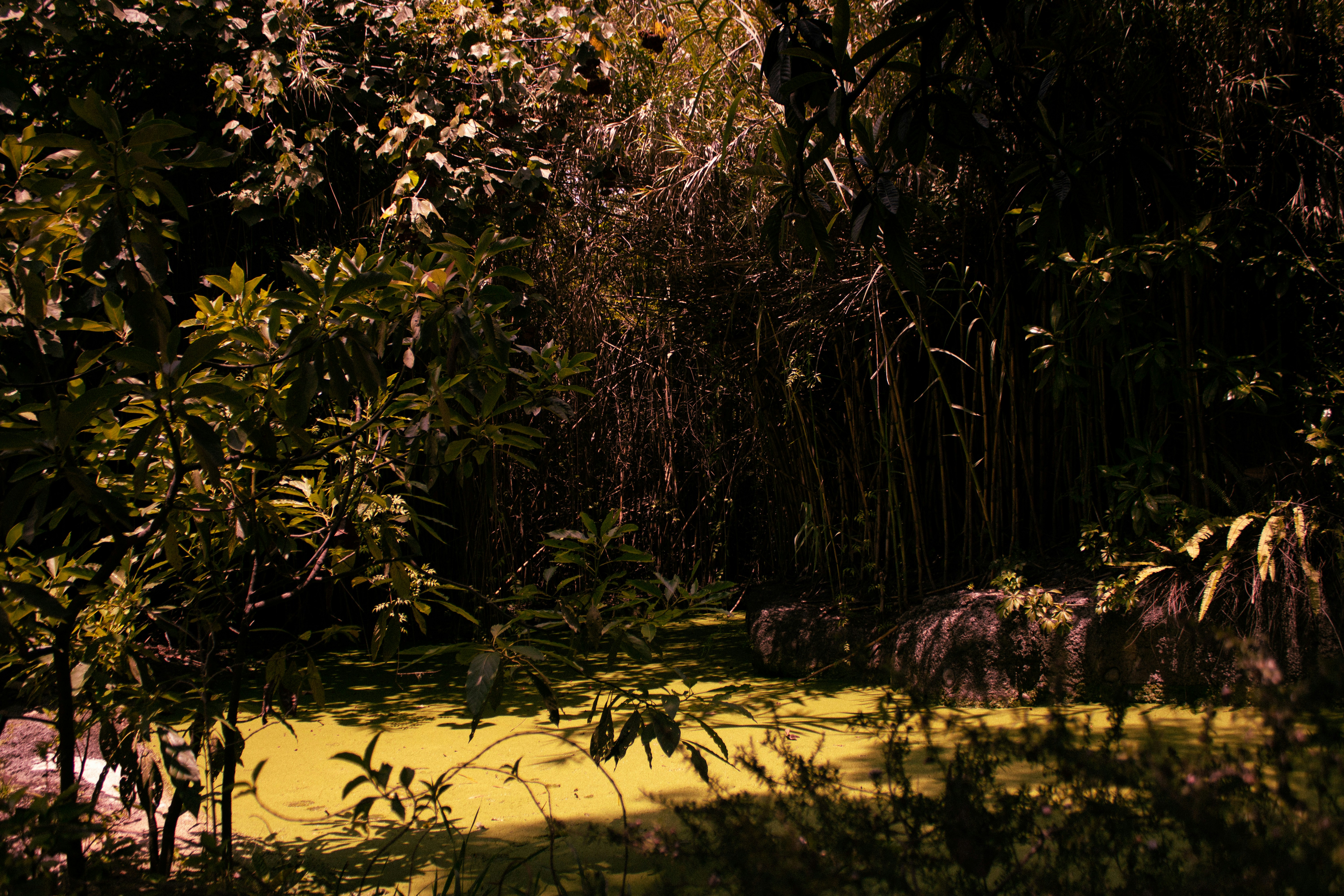 Photo by daniela_wolfvok