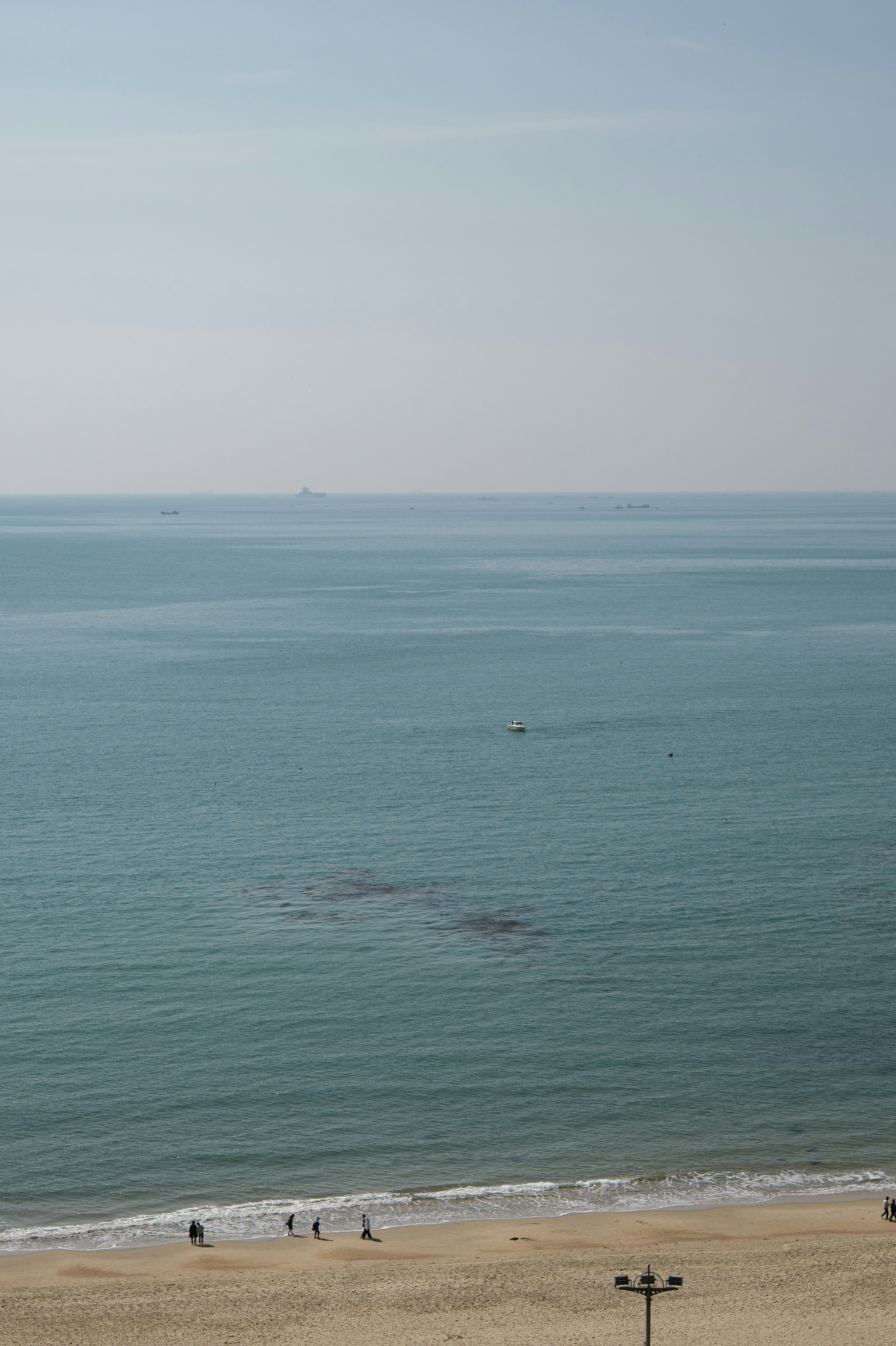 Photo by patrick_kim