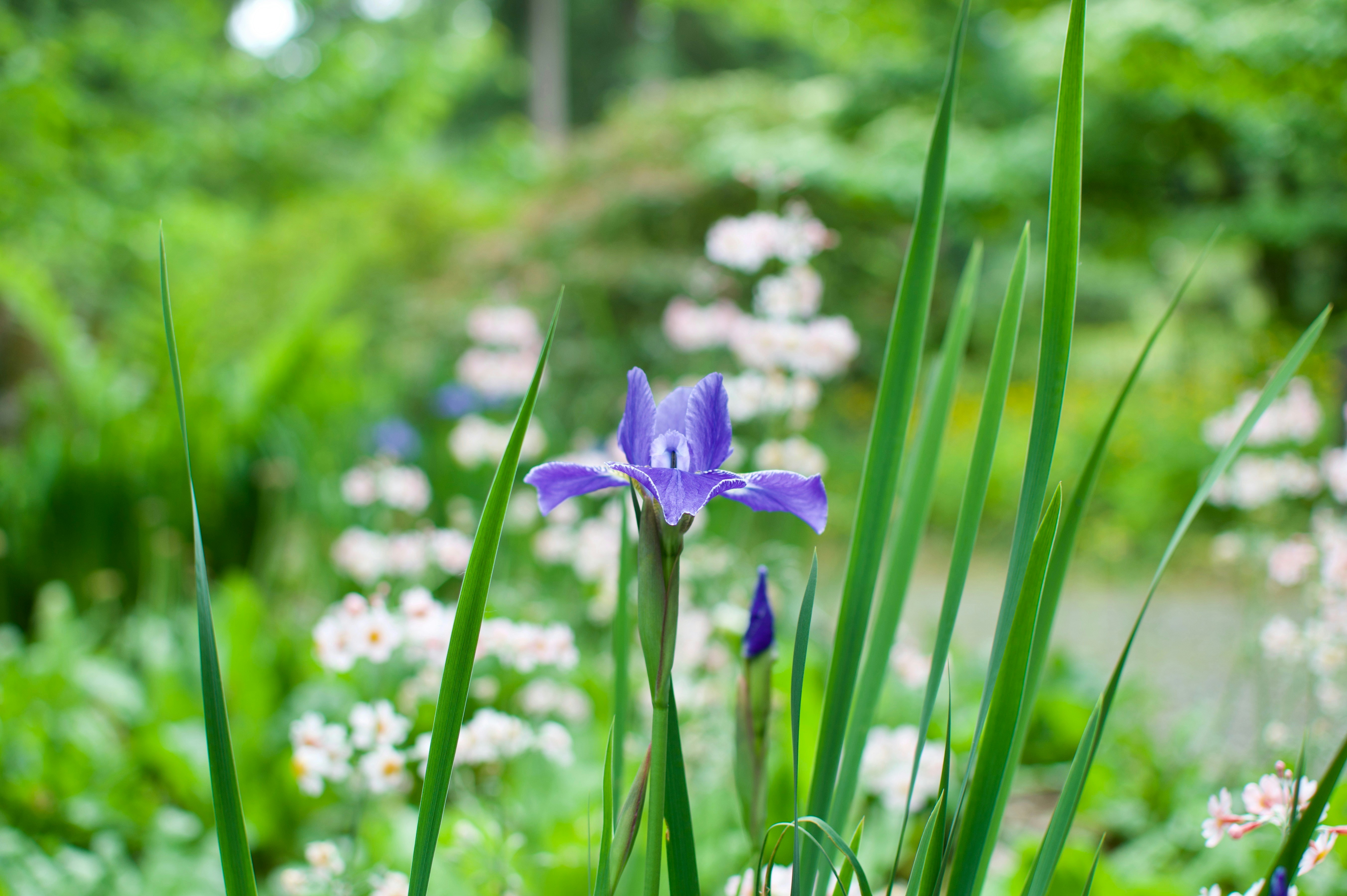 Photo by shes_crafty_photographylove