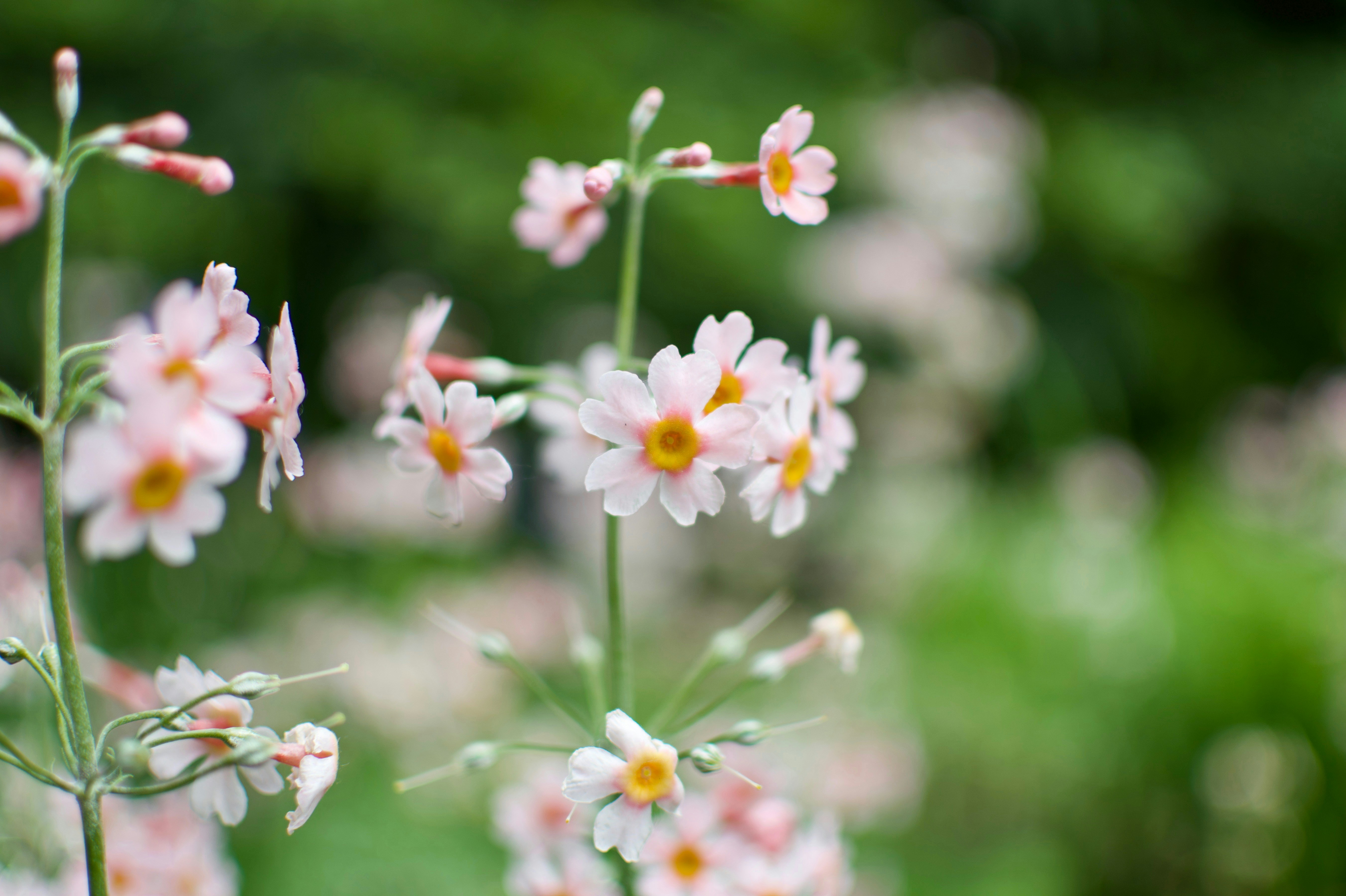 Photo by shes_crafty_photographylove