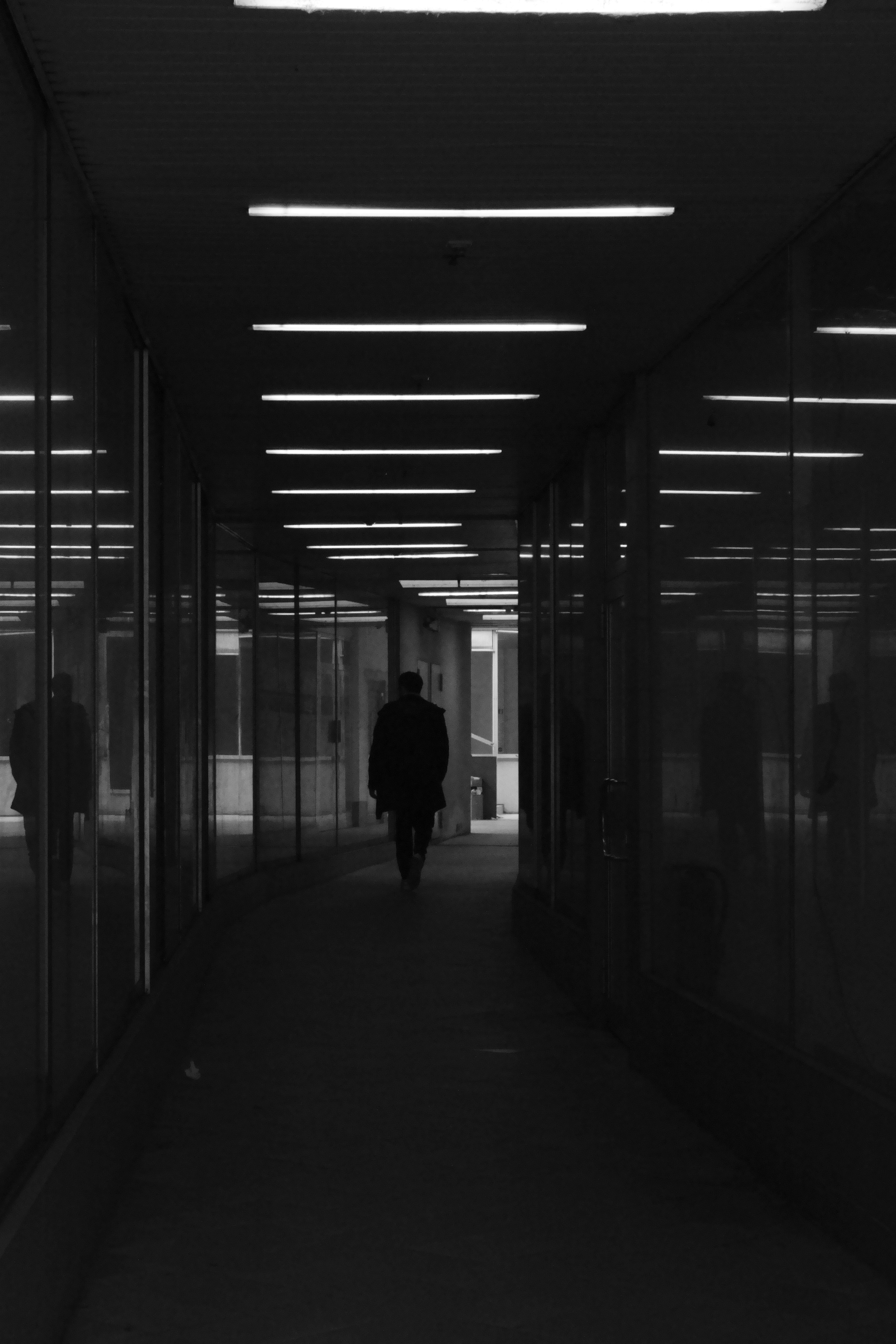 Photo by the_world_according_to_mickey_