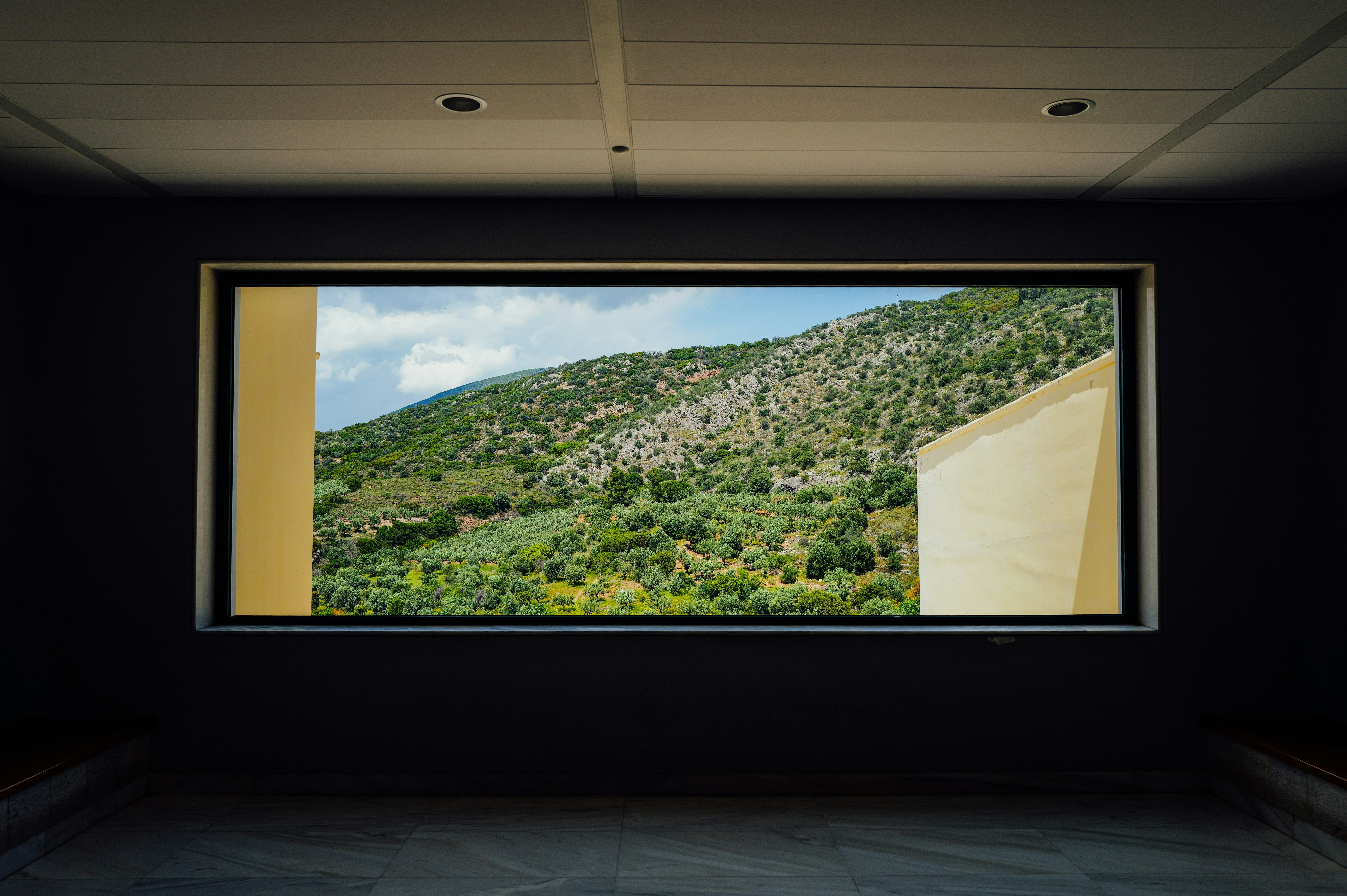 Cinepolis Sendero