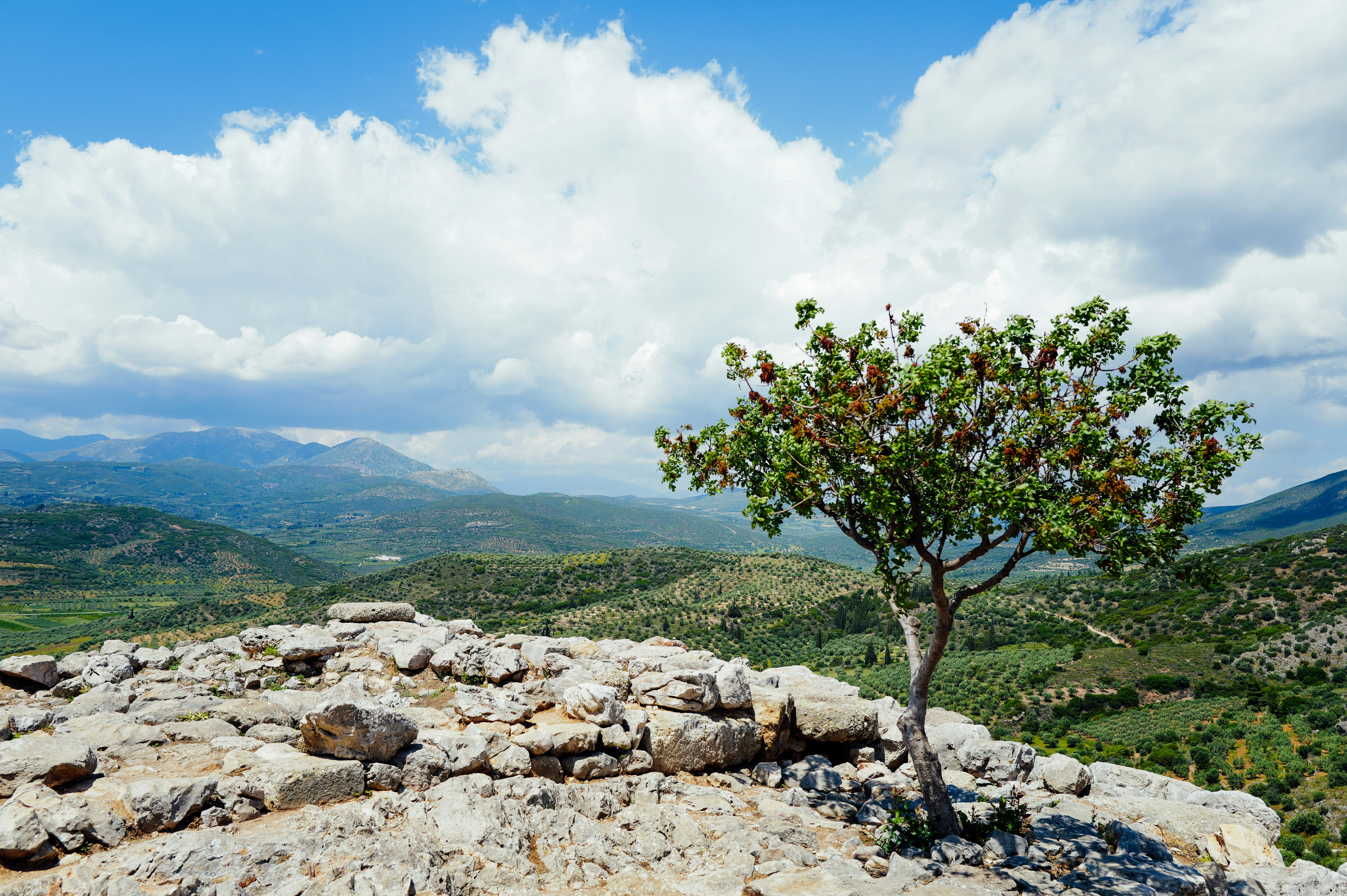 Photo by adrienolichon