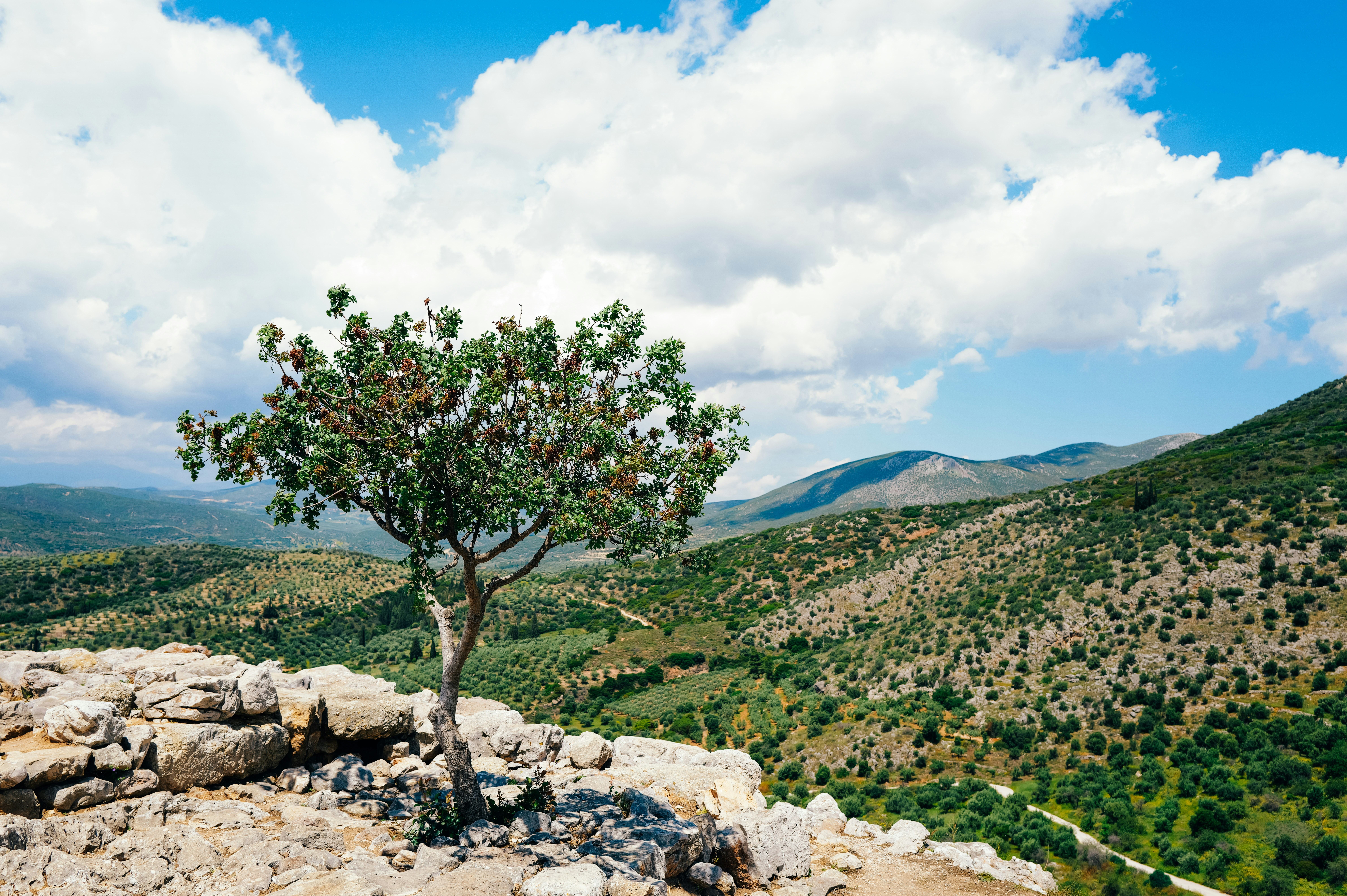 Photo by adrienolichon