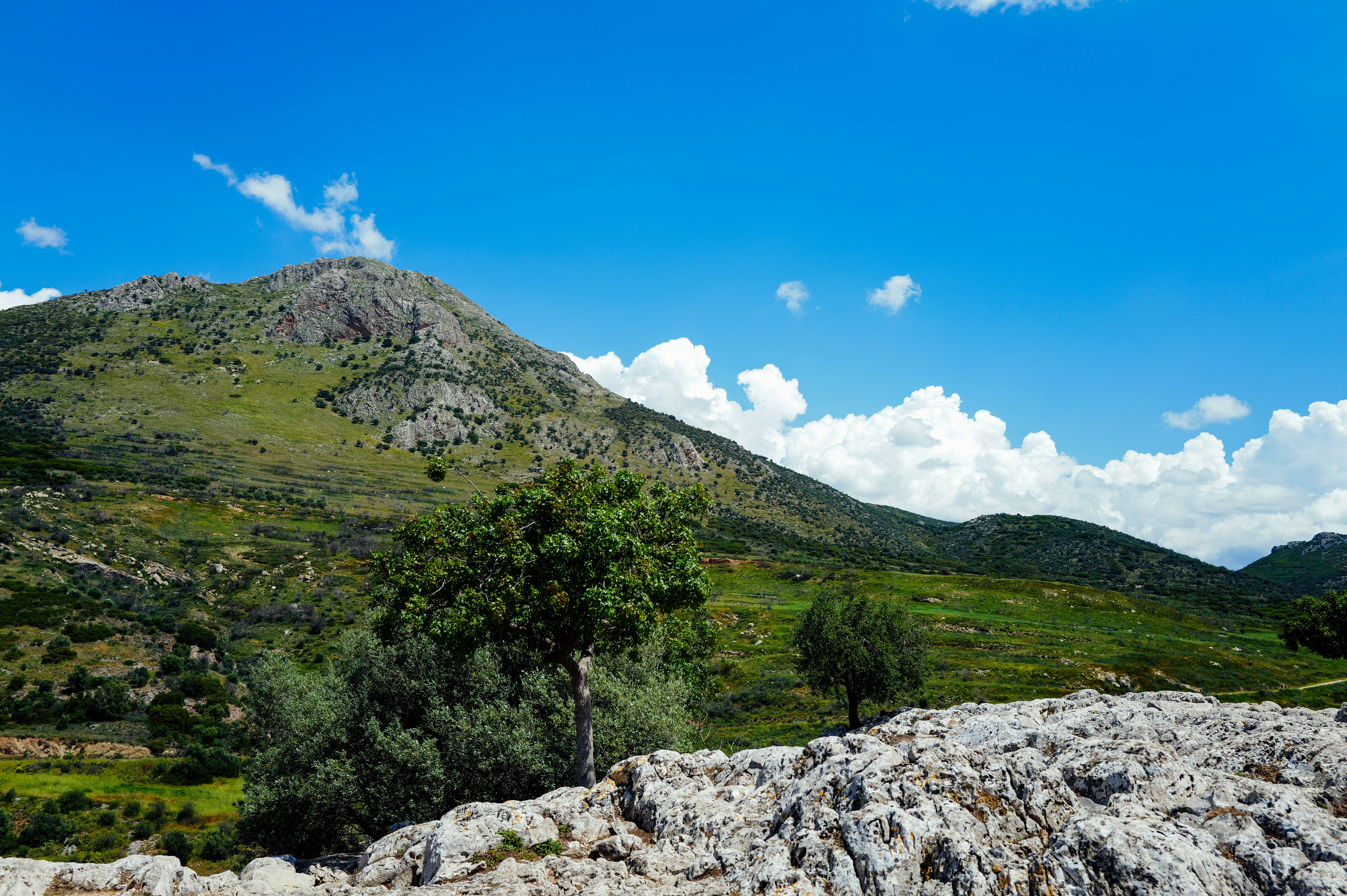 Photo by adrienolichon