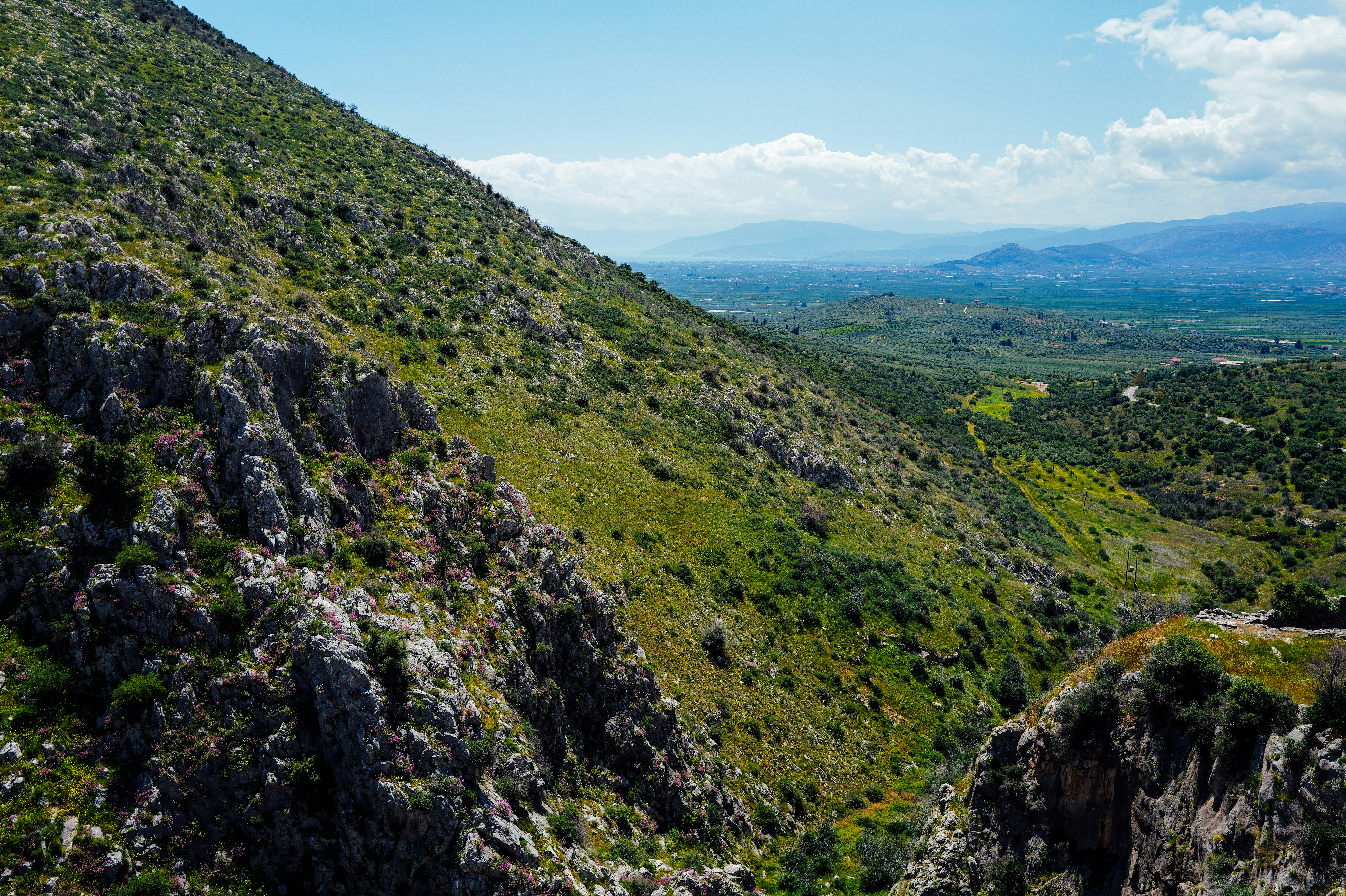 Photo by adrienolichon