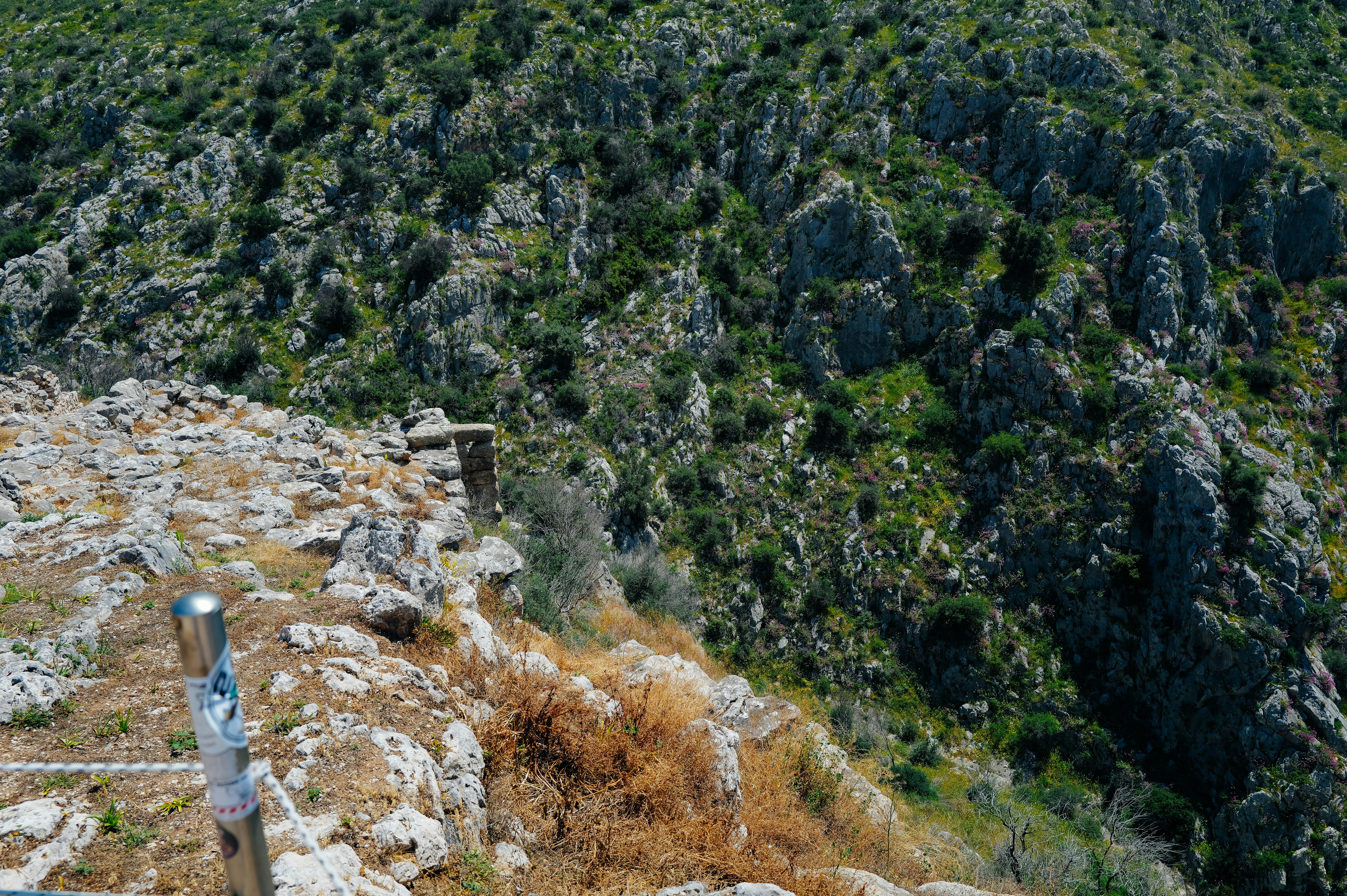 Photo by adrienolichon