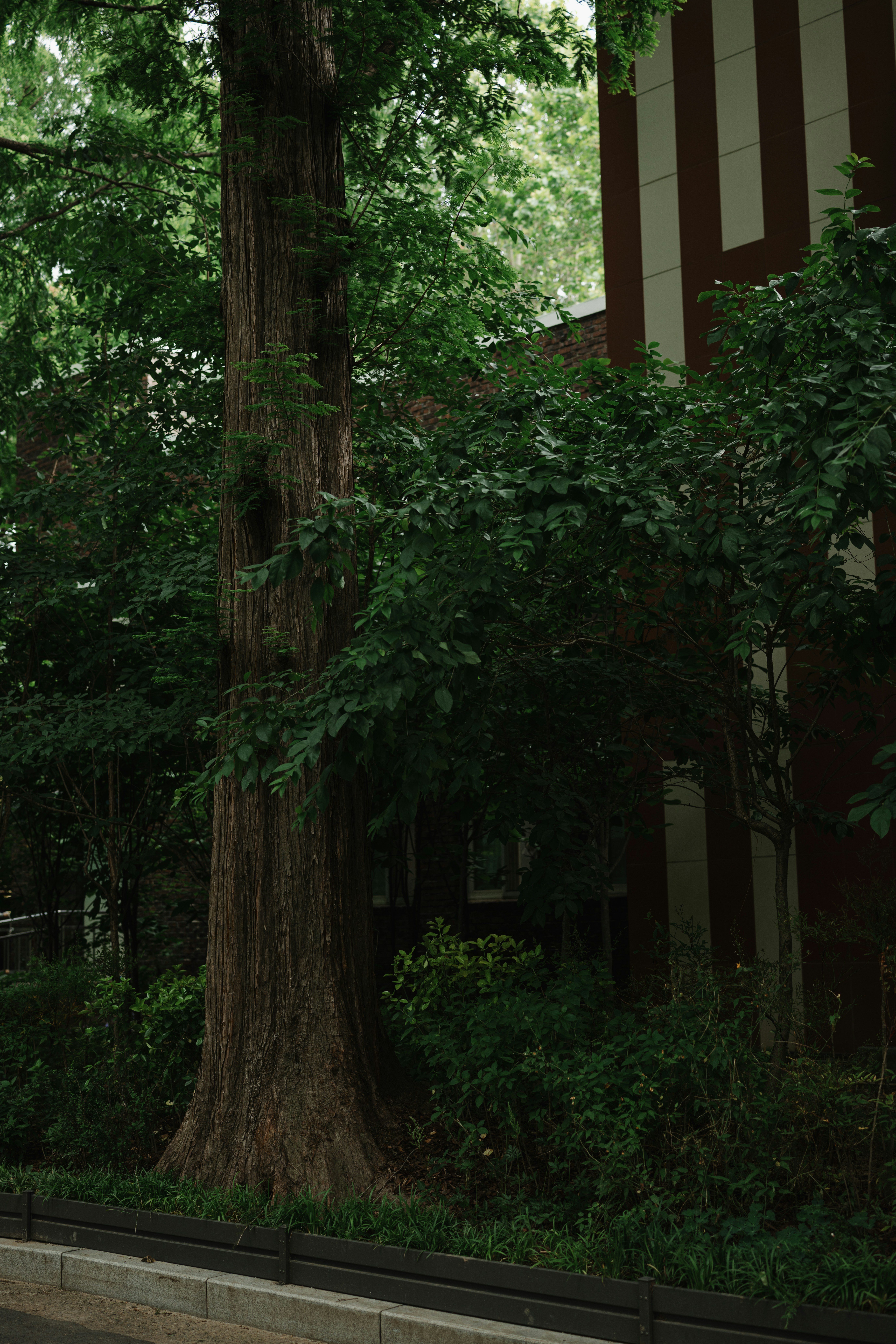 Photo by patrick_kim