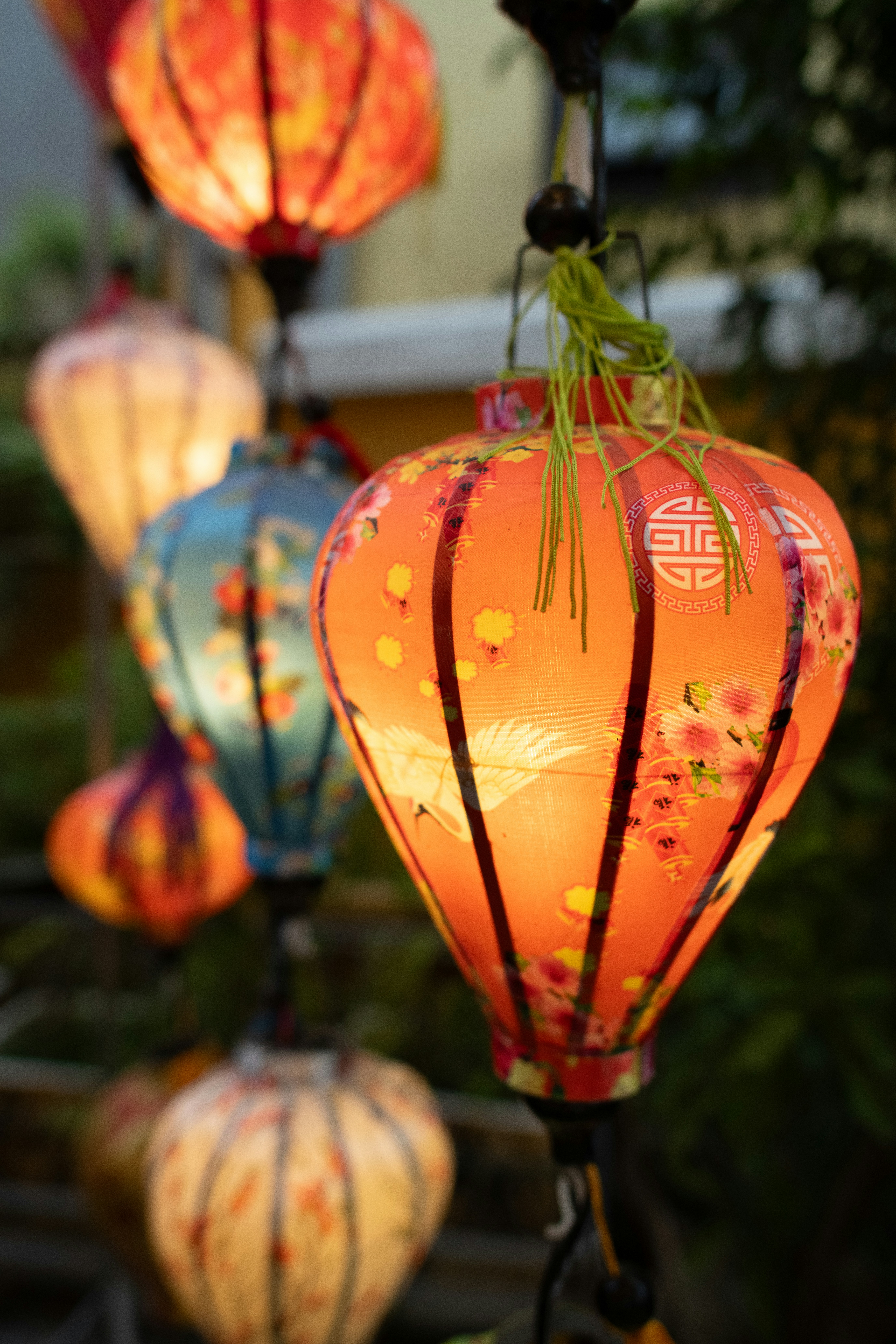 Colorful lanterns illuminate in a beautiful display.