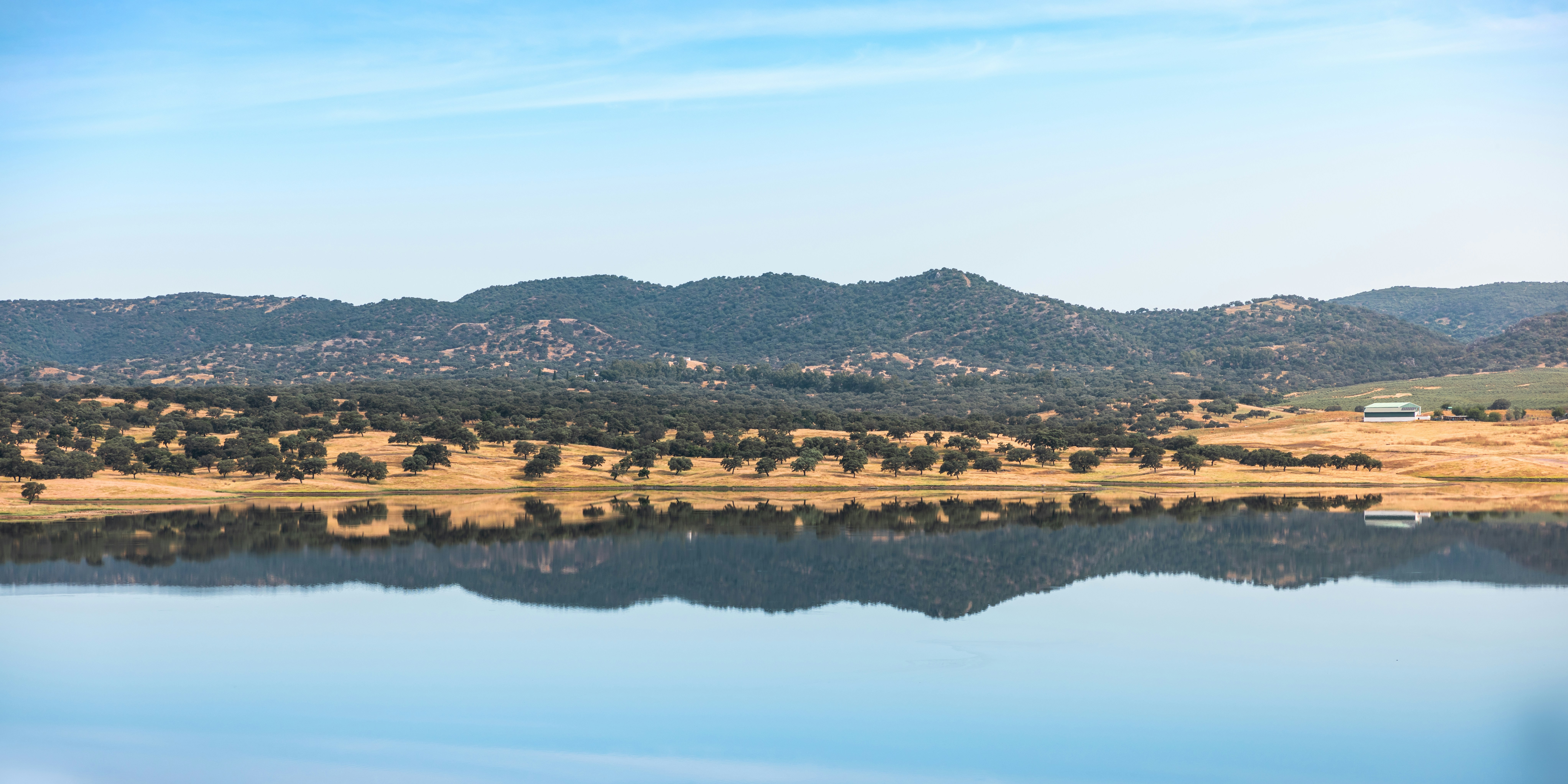 Photo by quentin_martinez