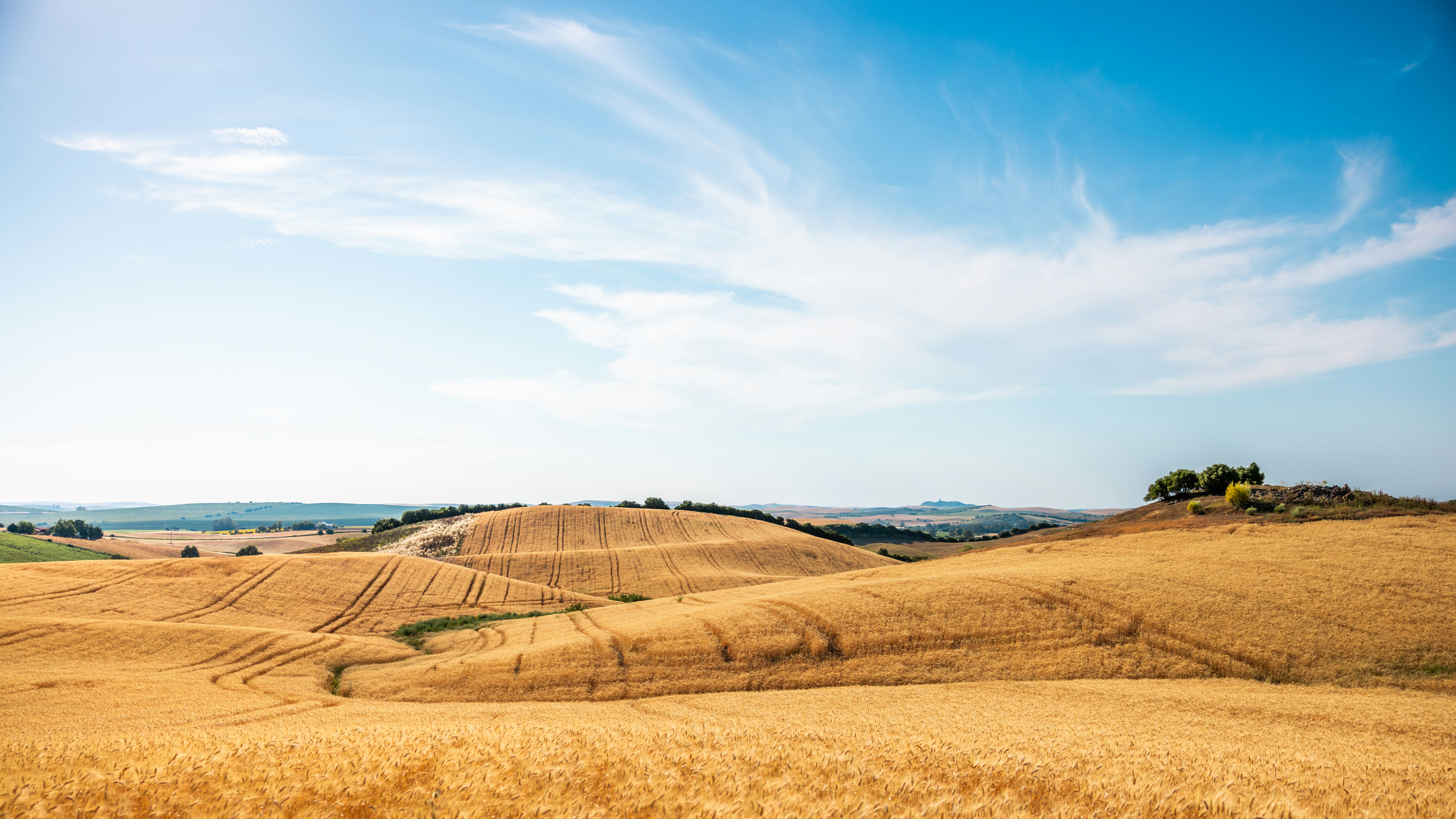 Photo by quentin_martinez