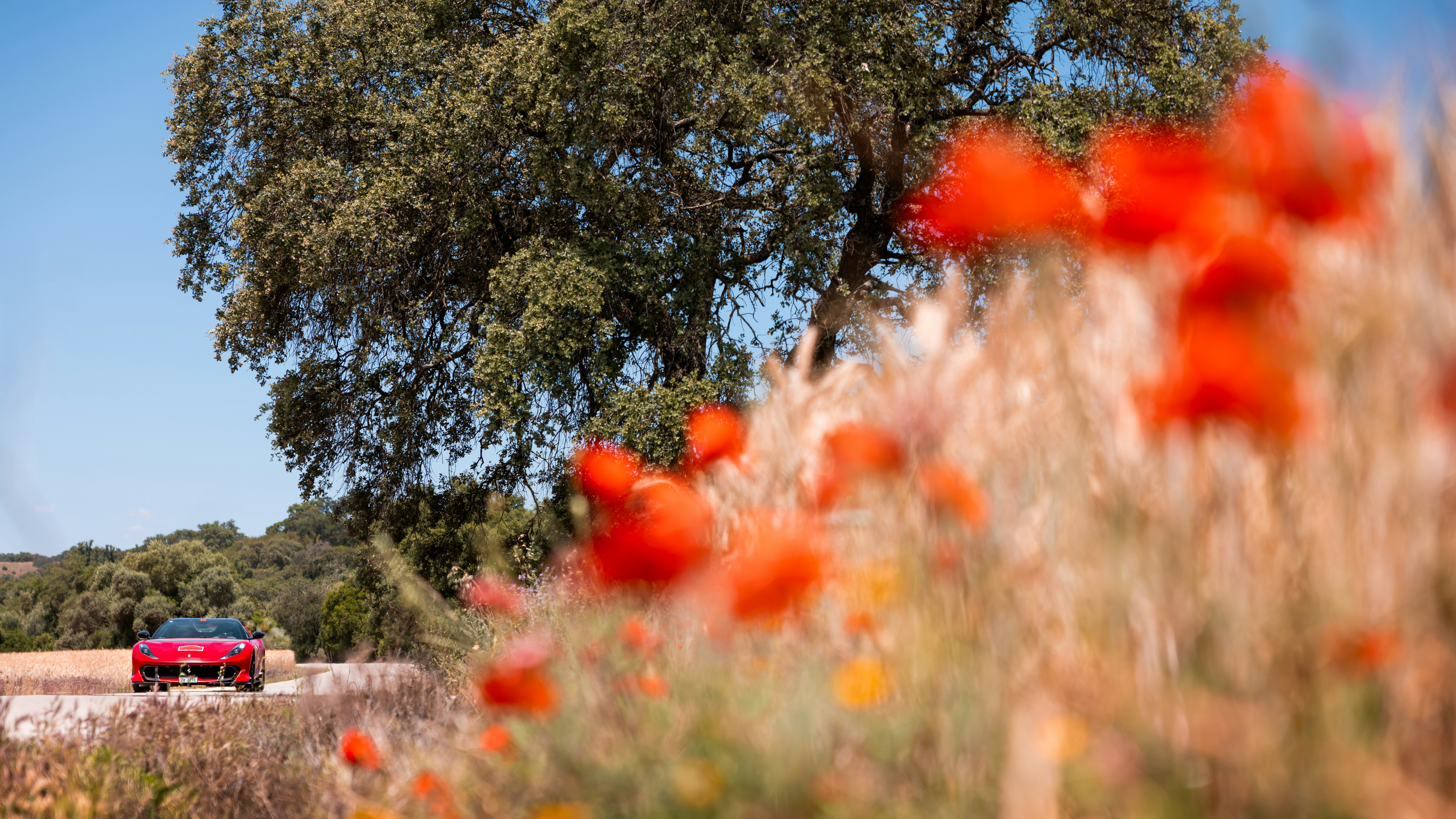 Image by Quentin Martinez via Unsplash