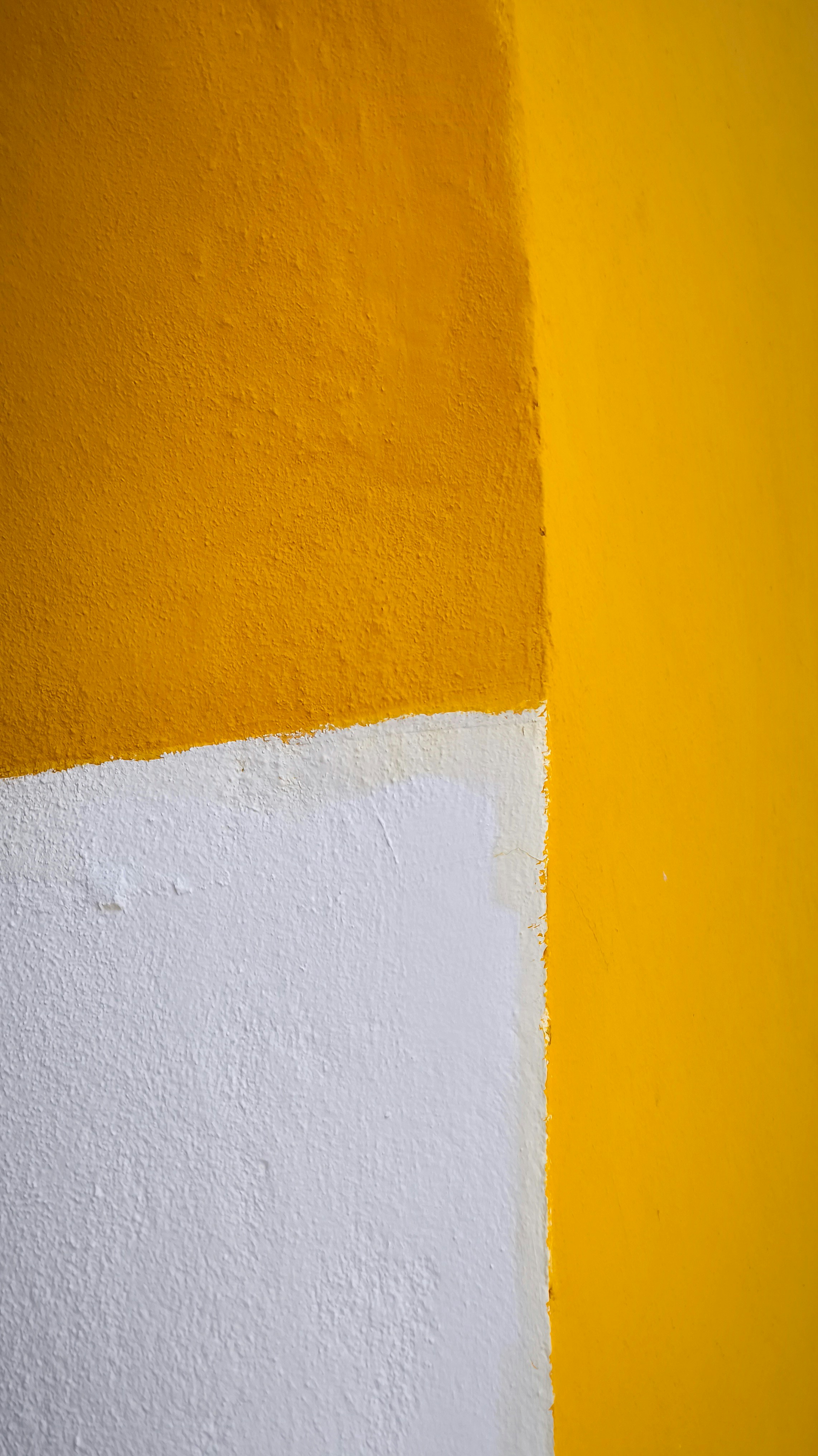 Photo by filipenobre