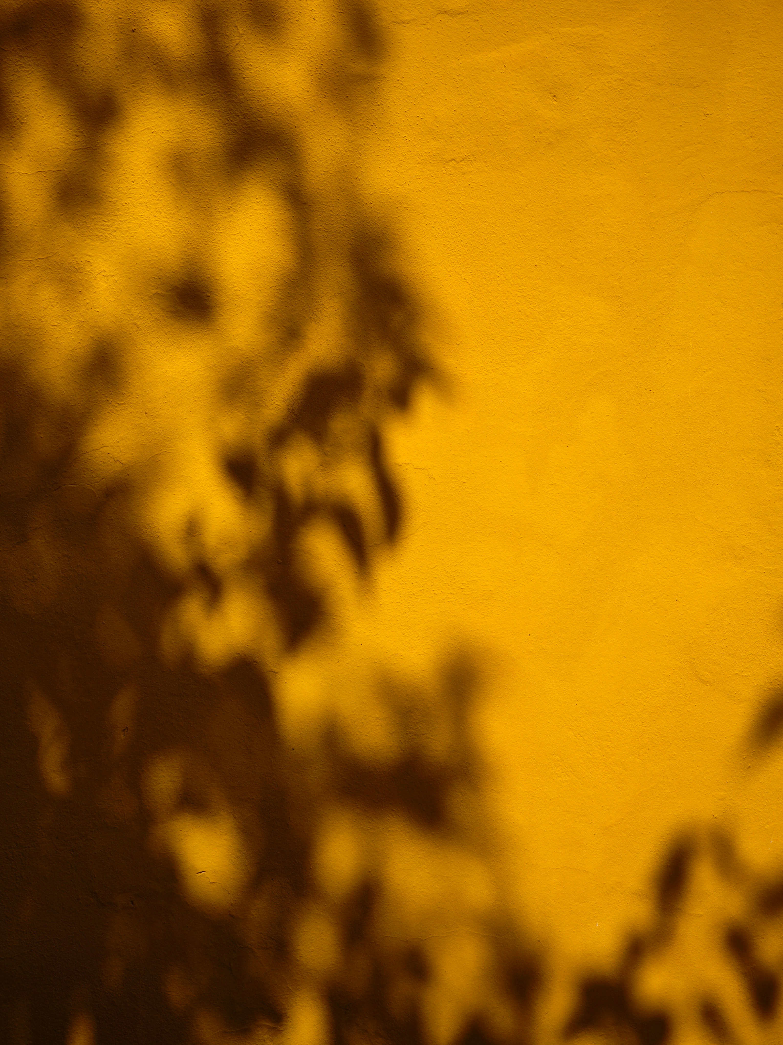 Photo by filipenobre