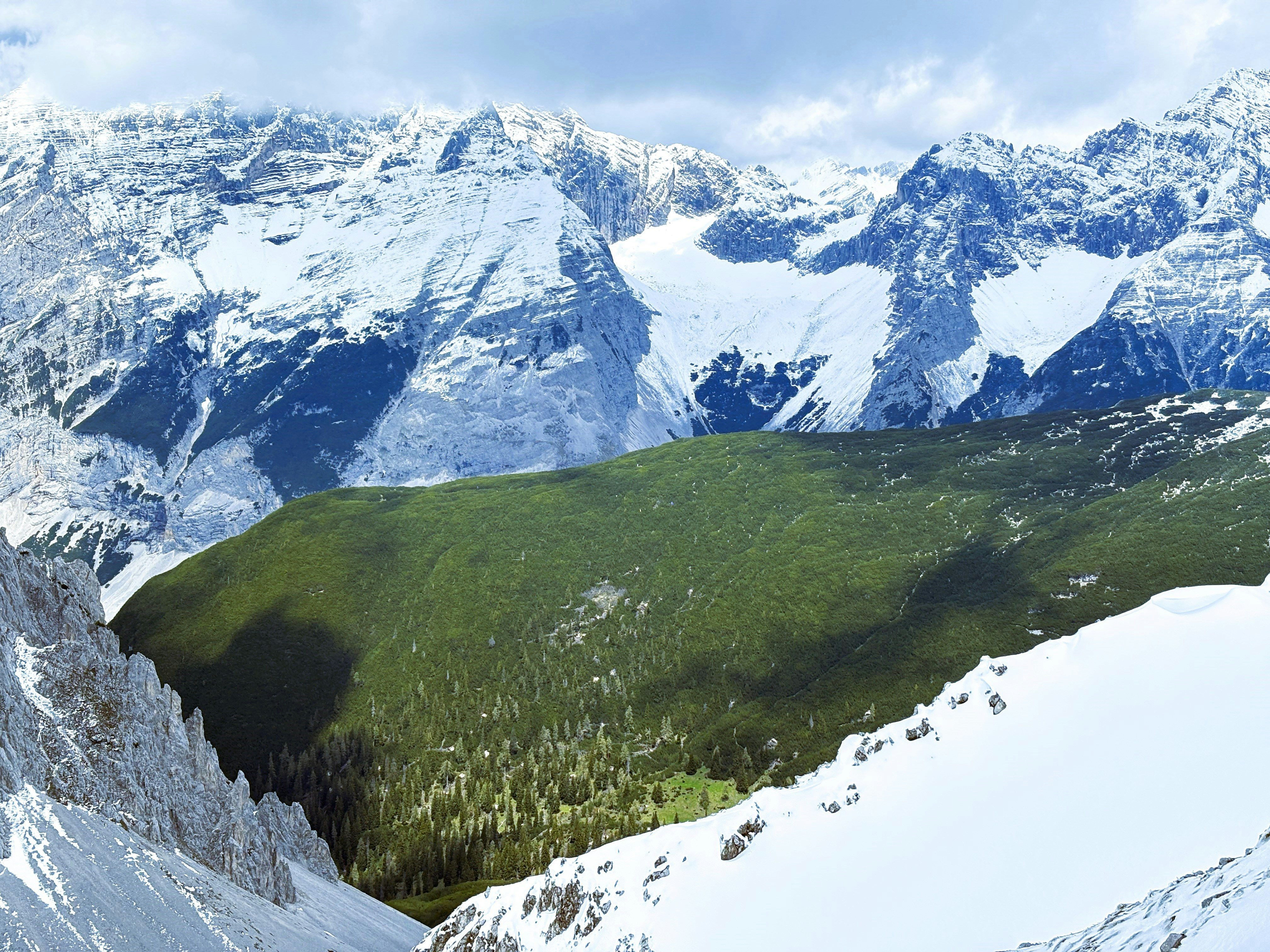 Snowy mountains and a green forest are pictured.