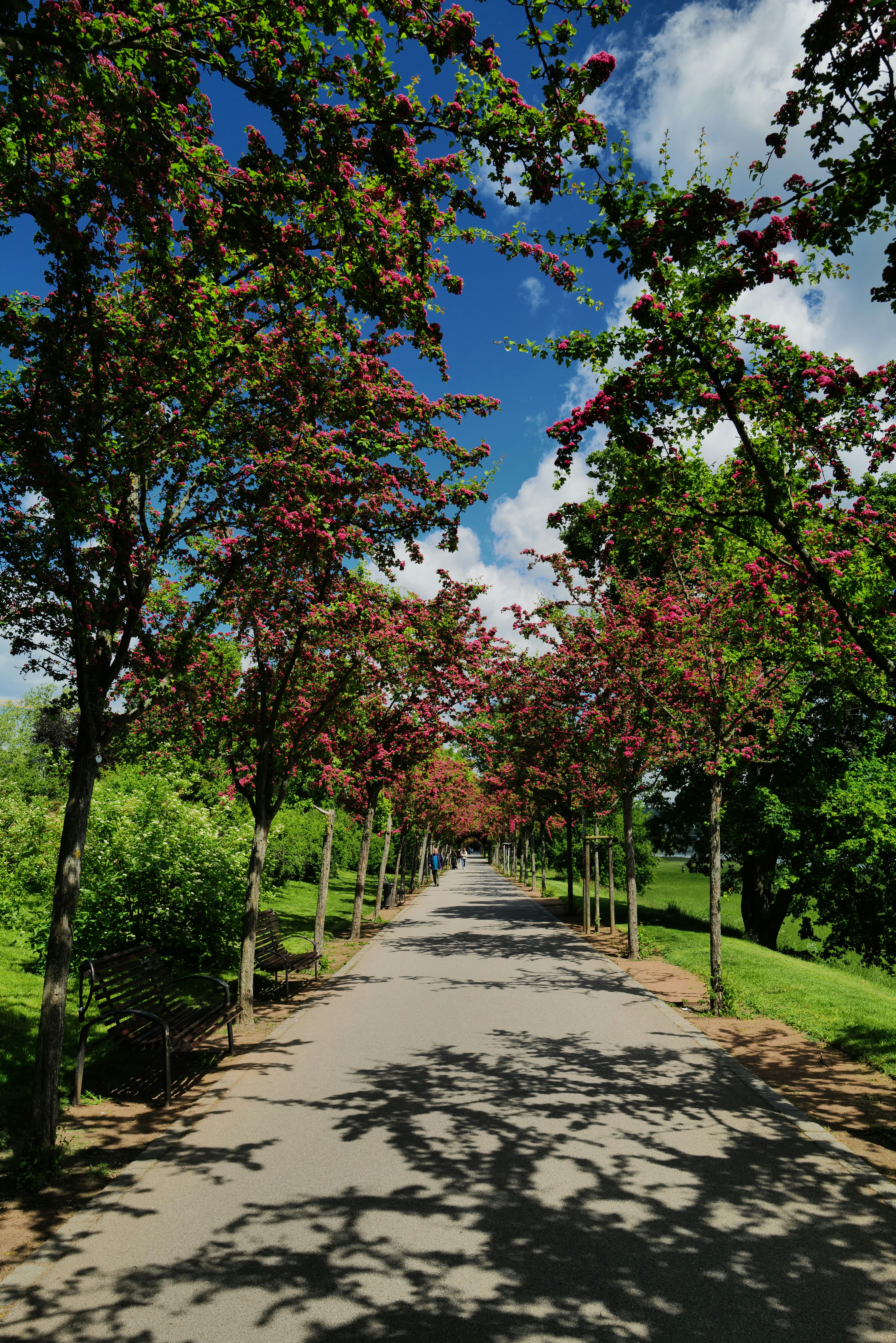 Photo by dominikferl