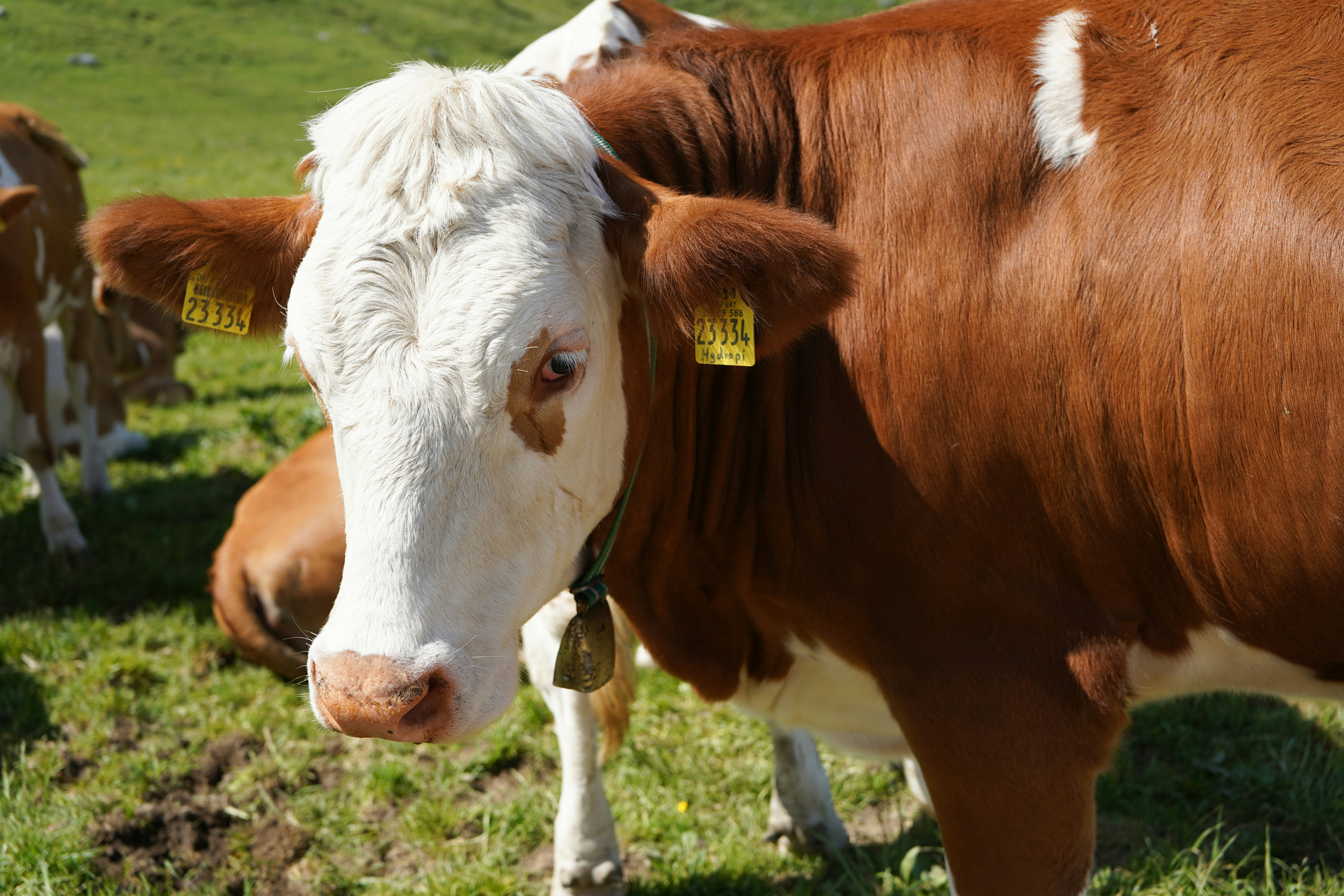 Photo by hamburgmeinefreundin